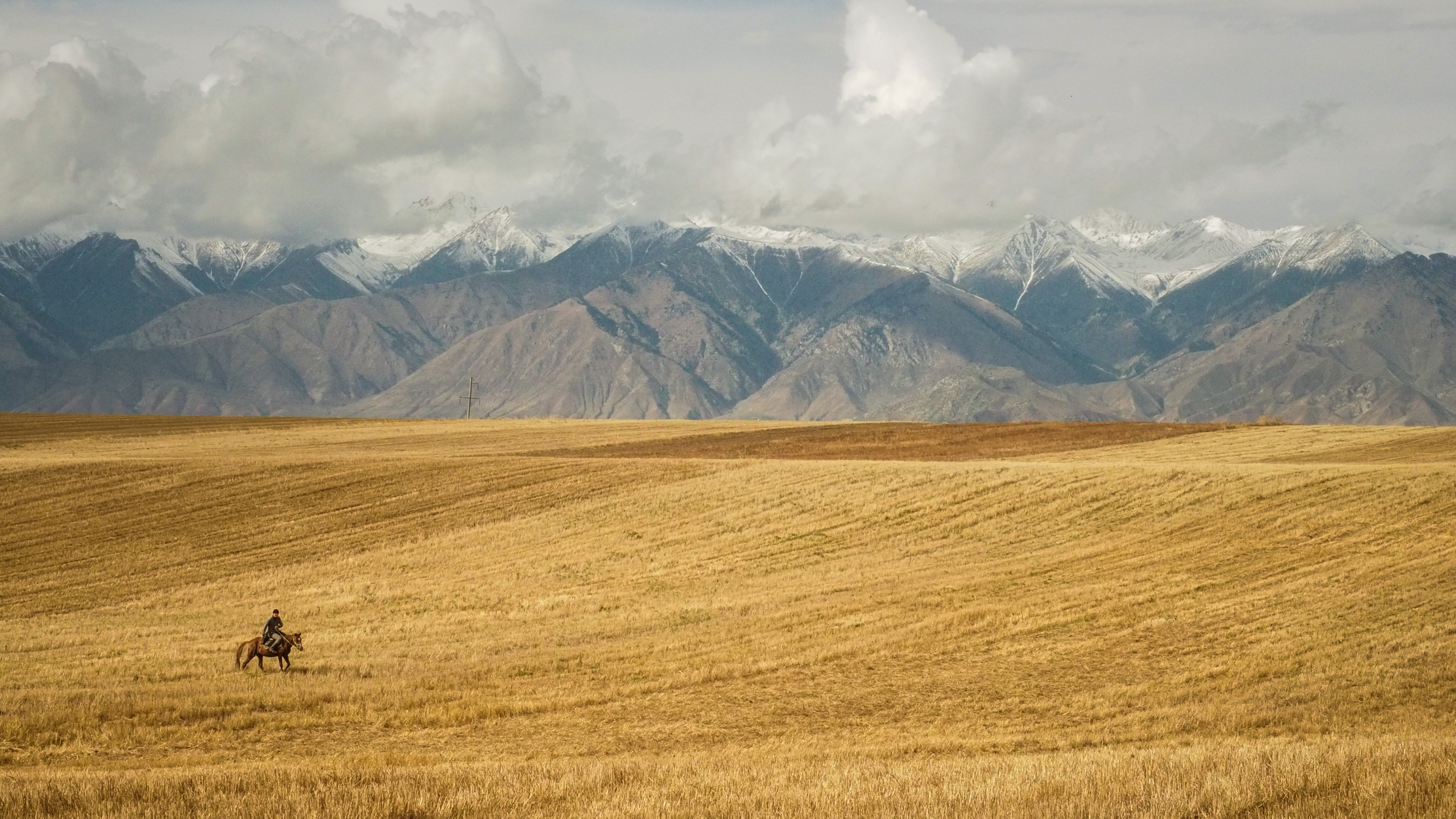 a person on horseback riding through a golden field at the foot of a snow capped mountain range, camping on the shores of lake issyk kul 4k, HD Wallpaper