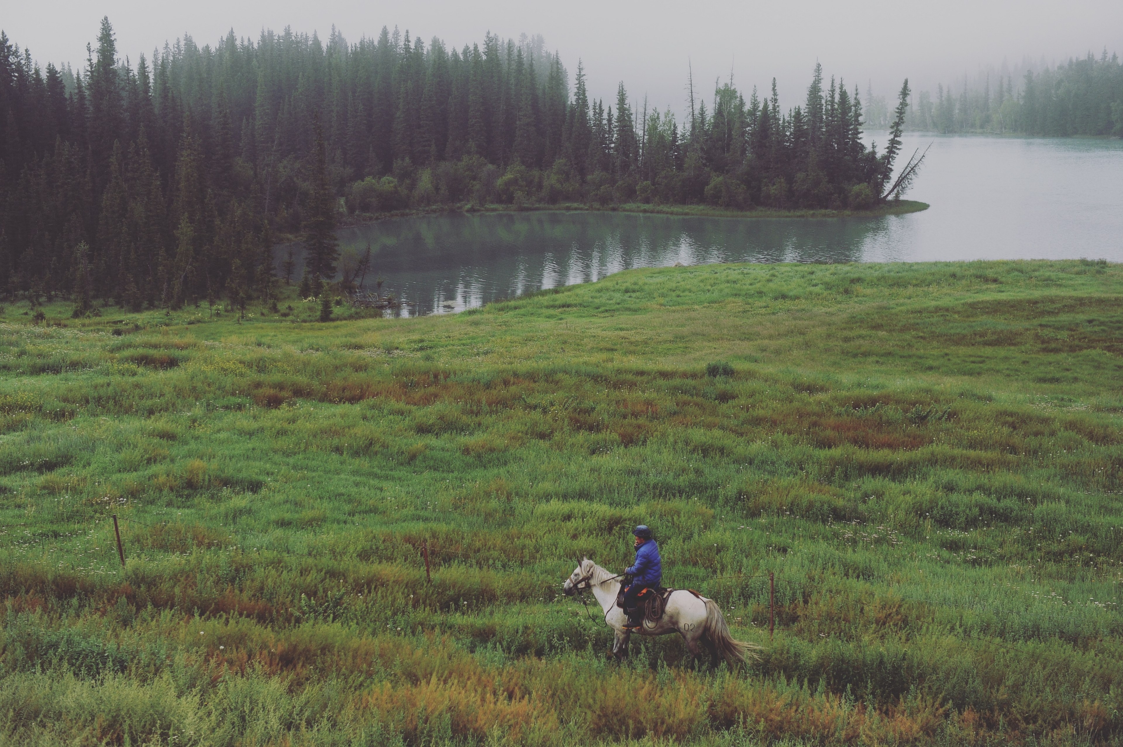 a high angle shot of a person riding a horse through tall grass near a lake, on horseback by the lake 4k, HD Wallpaper