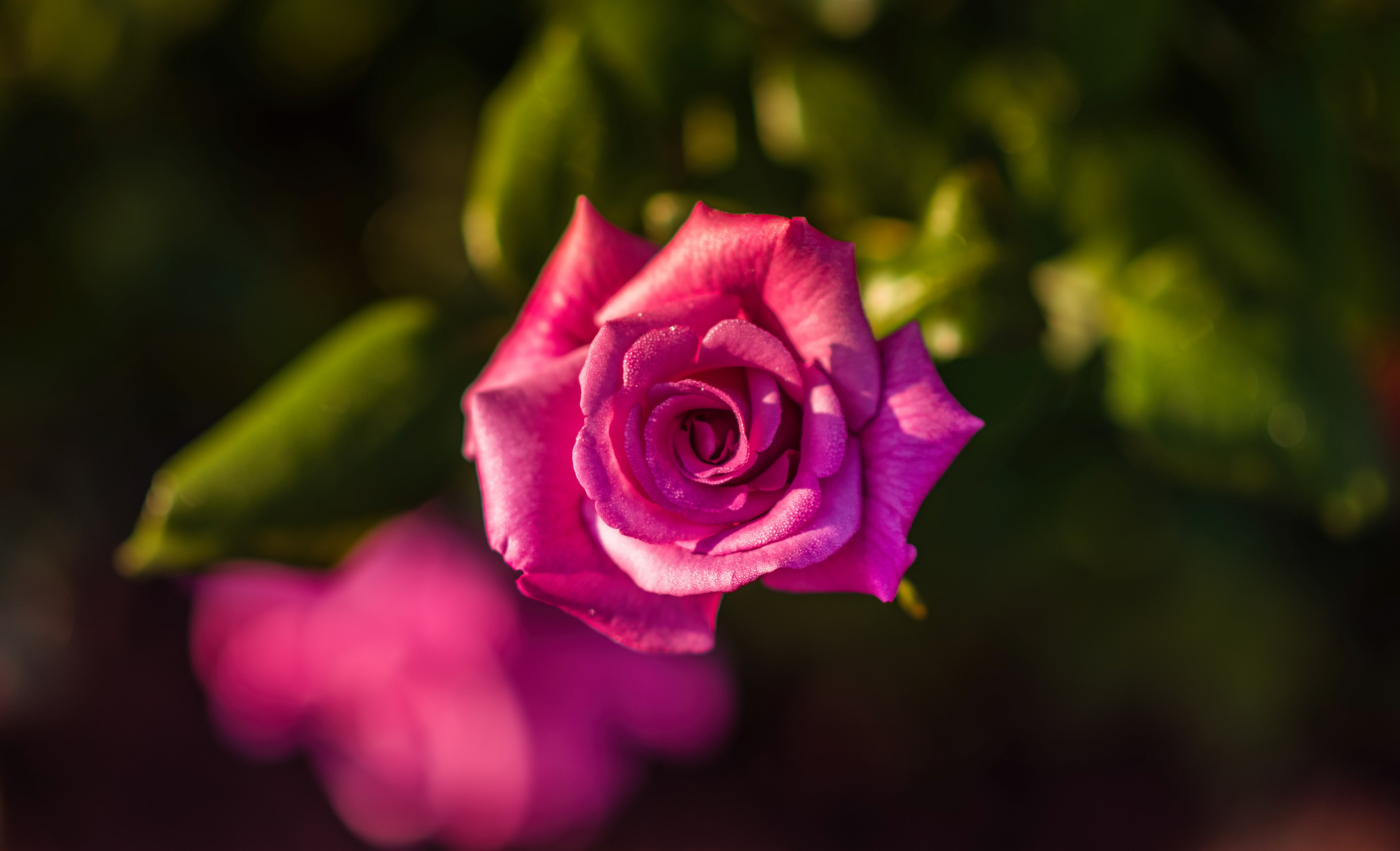share blog makeday and morning 4k, HD Wallpaper