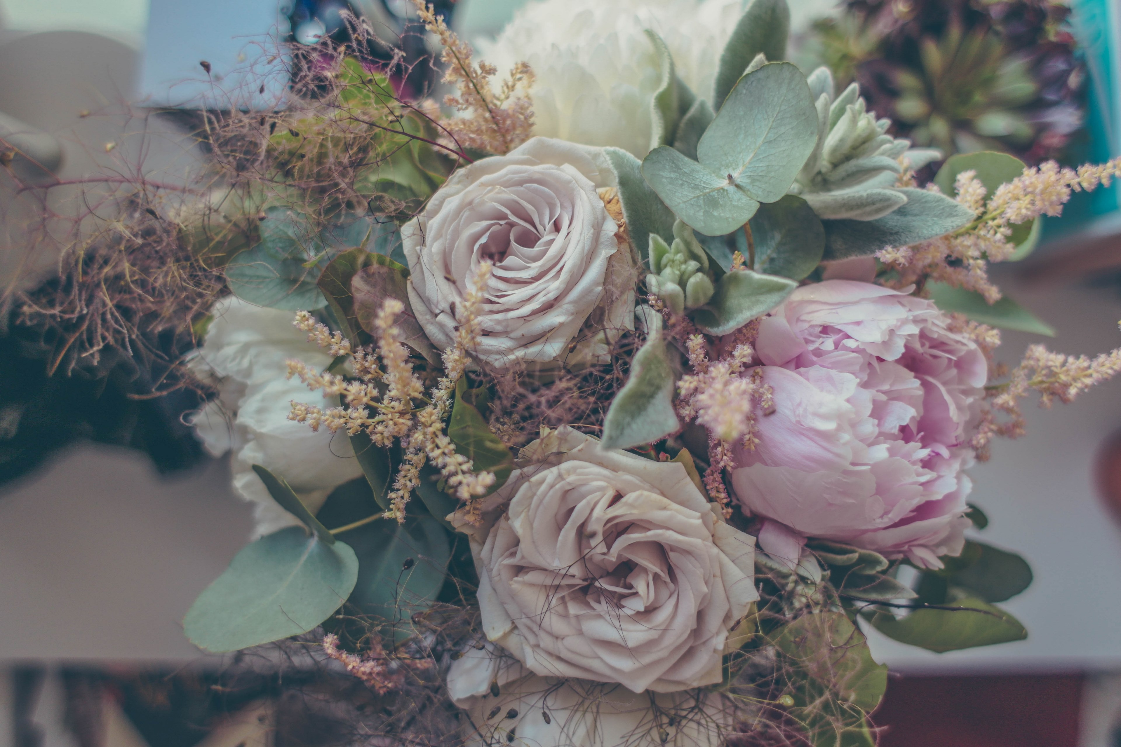 elegant pink and pearl white flowers, _elegant rose flowers 4k, HD Wallpaper
