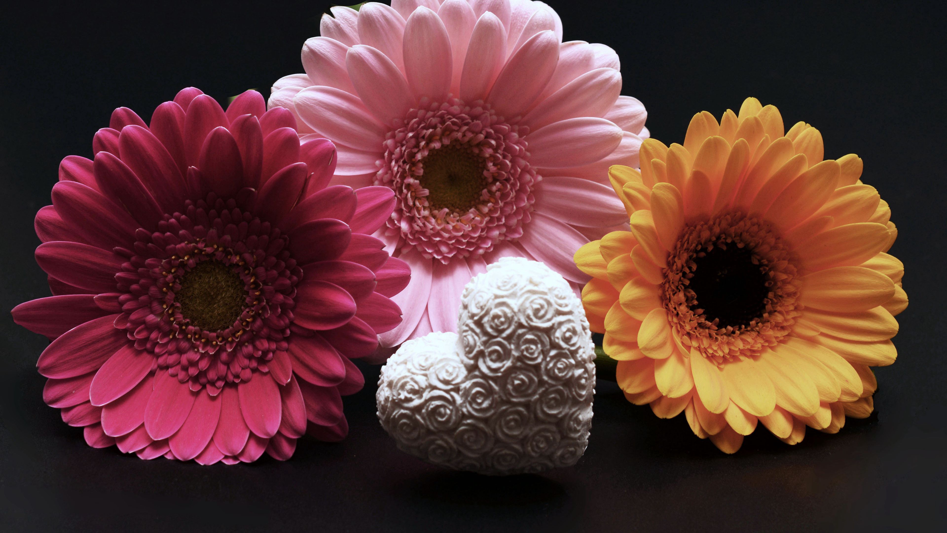 gerbera, flower, heart, valentines day, 4k, HD Wallpaper