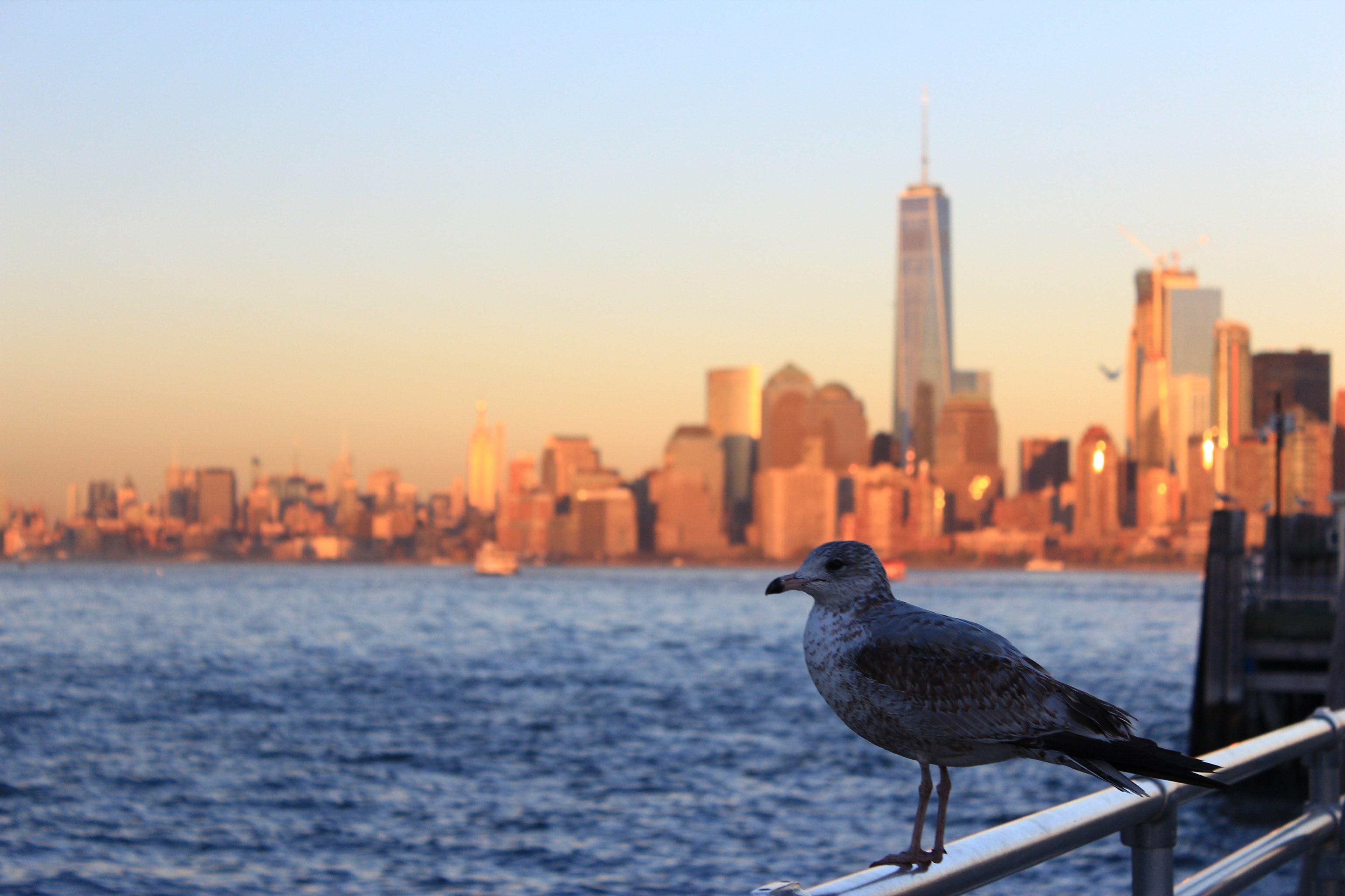 sunset skyline manhattan and new york 4k, HD Wallpaper