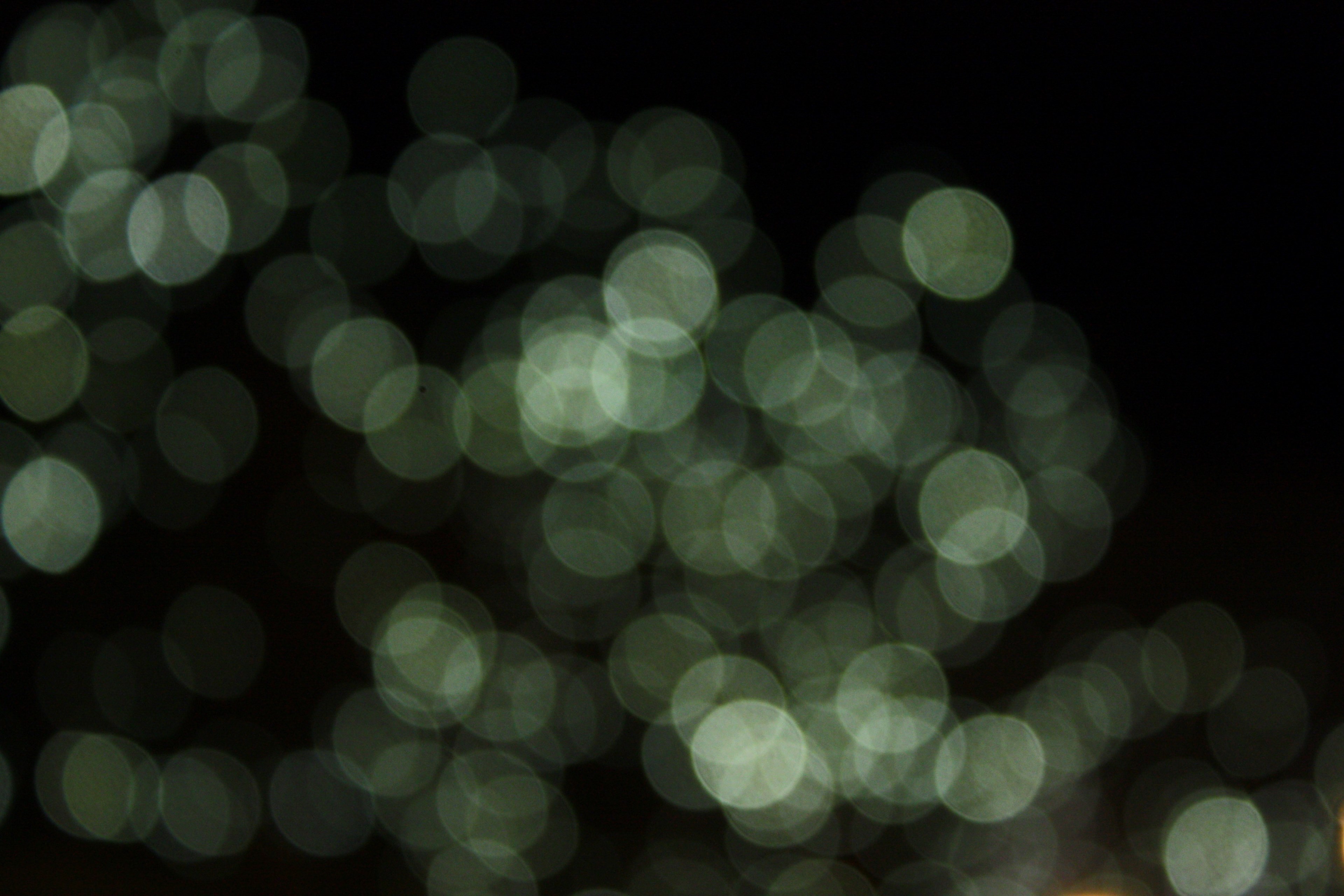 bokeh black green and unfocused 4k, HD Wallpaper