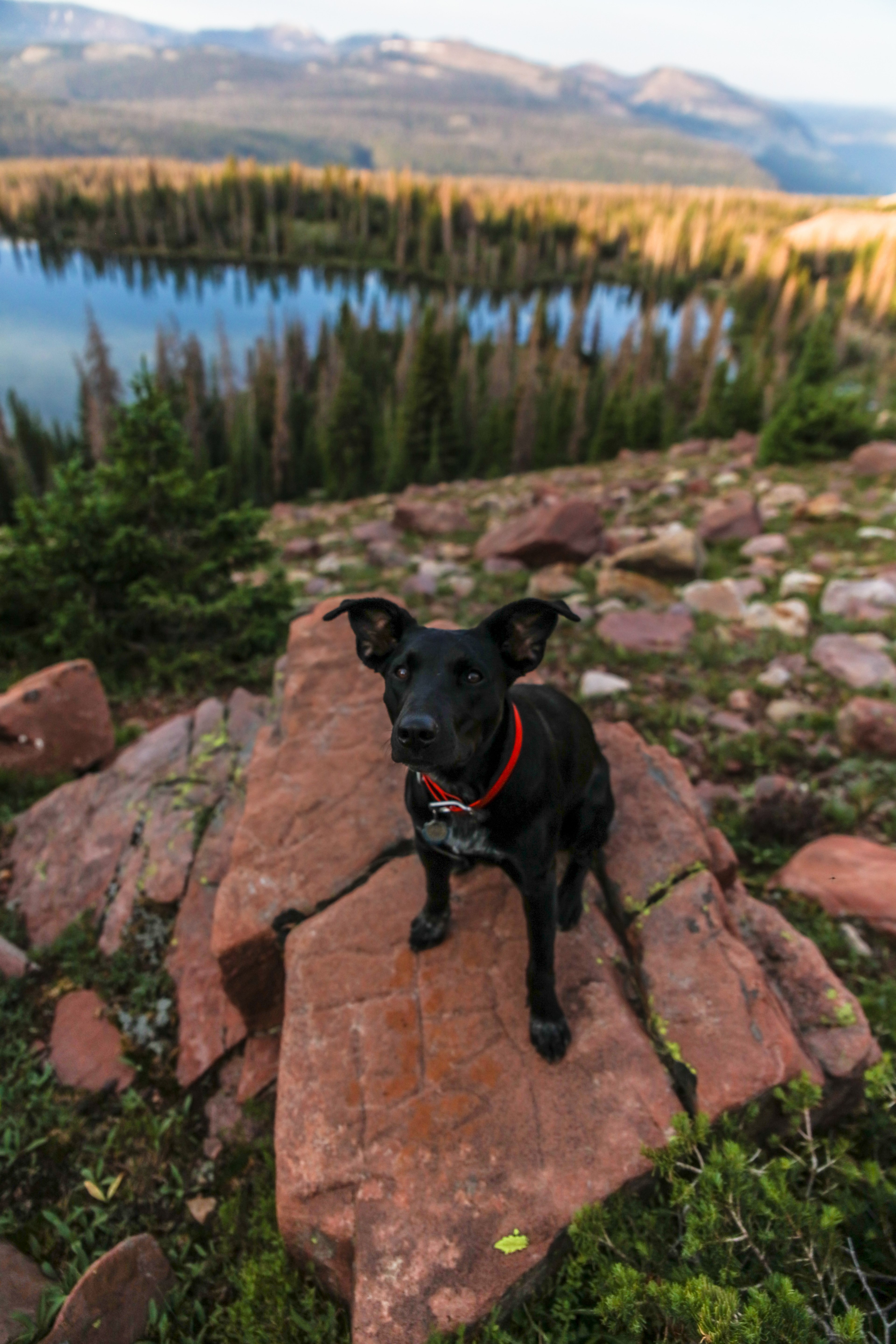patrick hendry yuki blue lake uintas 4k, Phone HD Wallpaper