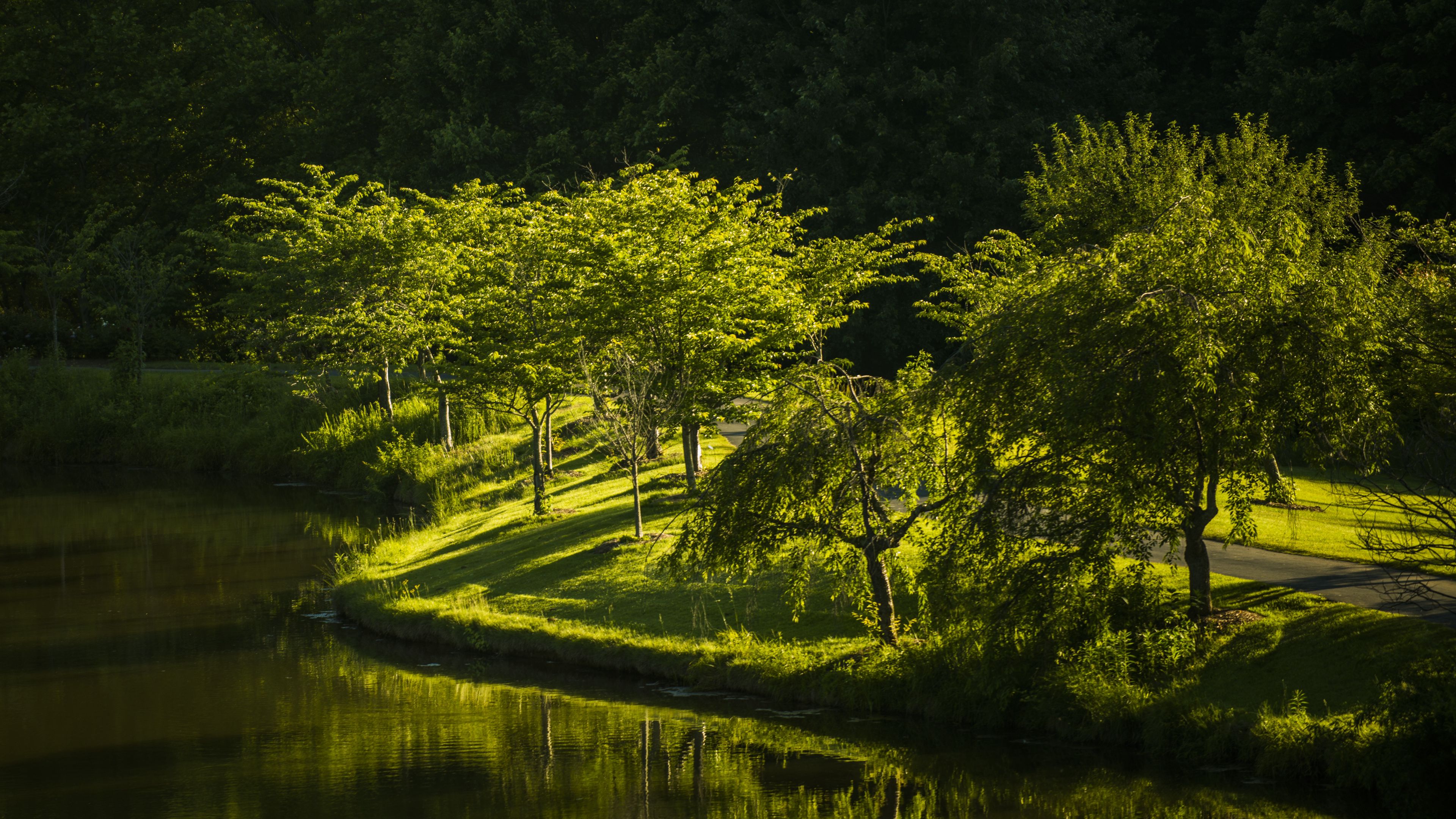 virginia, park, lake, nature, trees, 4k, HD Wallpaper
