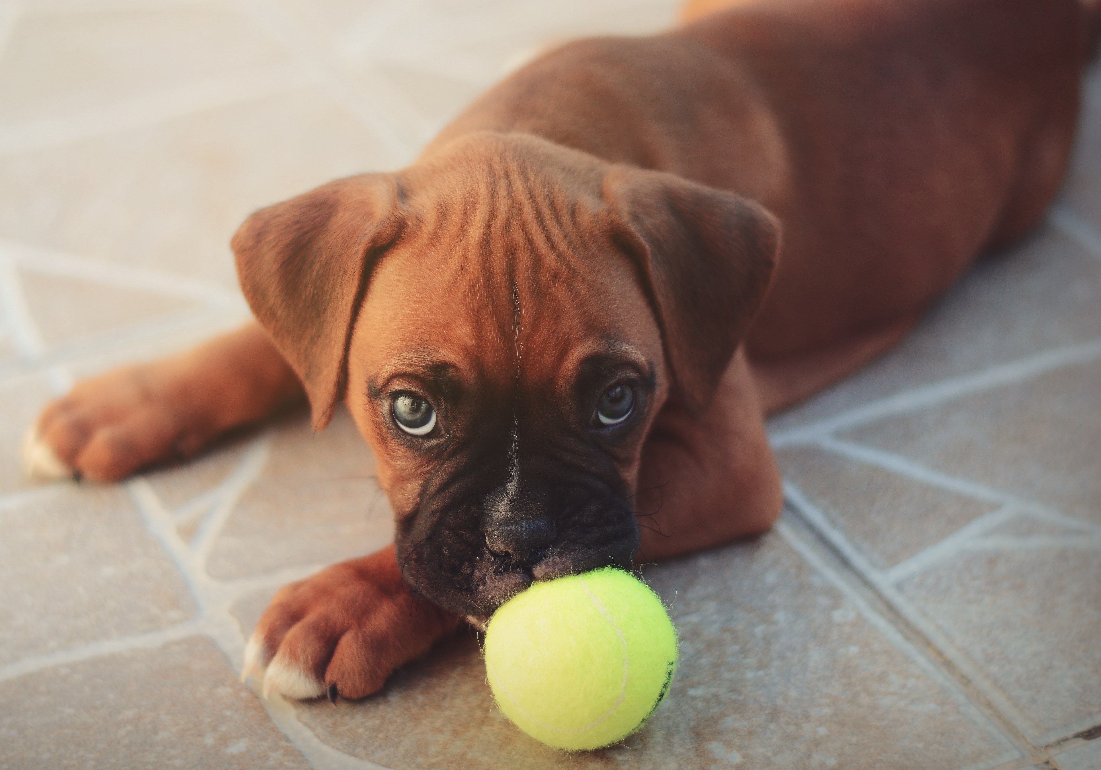 lost in those eyes 4k, HD Wallpaper