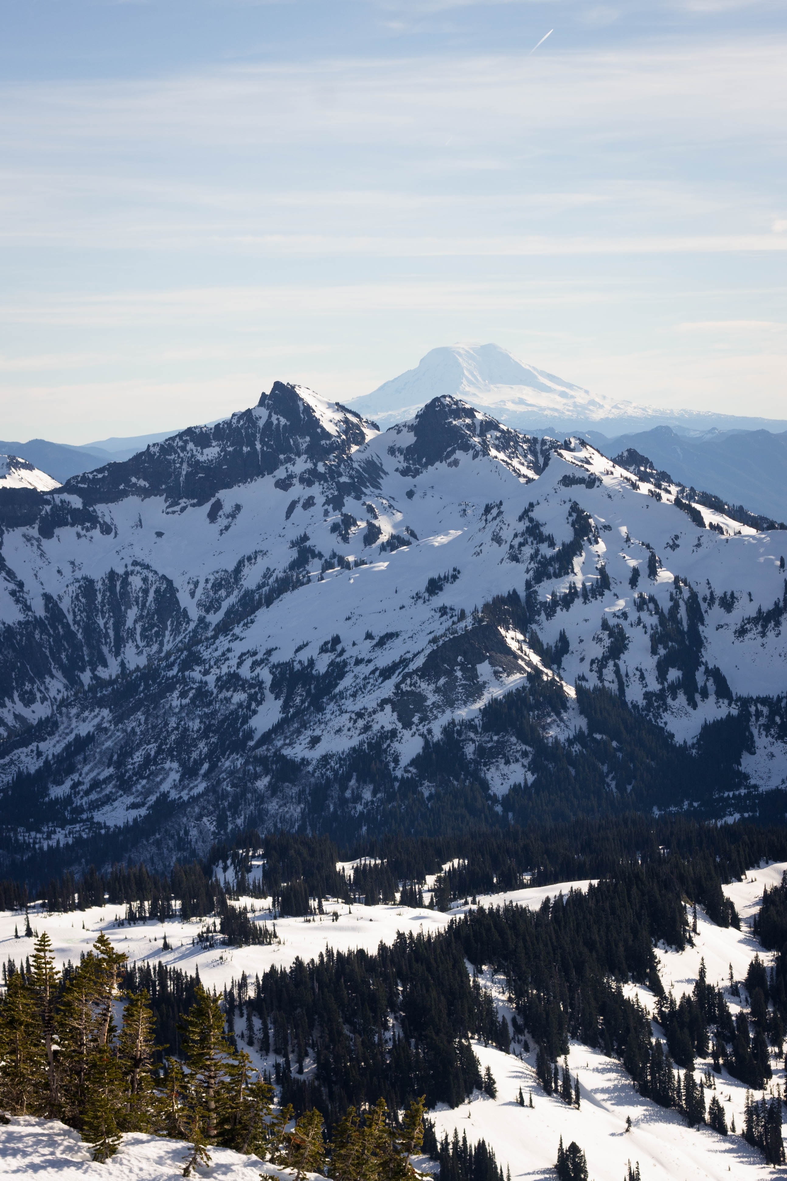 a wintry landscape of snow capped mountaintops with conifers at their foot, snowy mountains in sunlight 4k, Phone HD Wallpaper