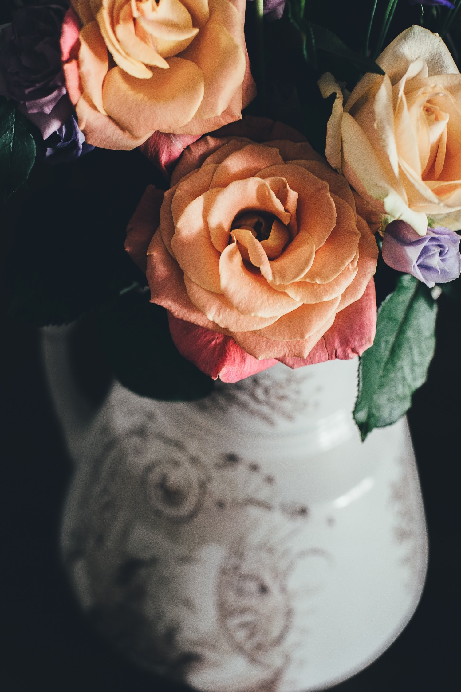 rose rose petal petal and flower hd, 4k, Phone HD Wallpaper