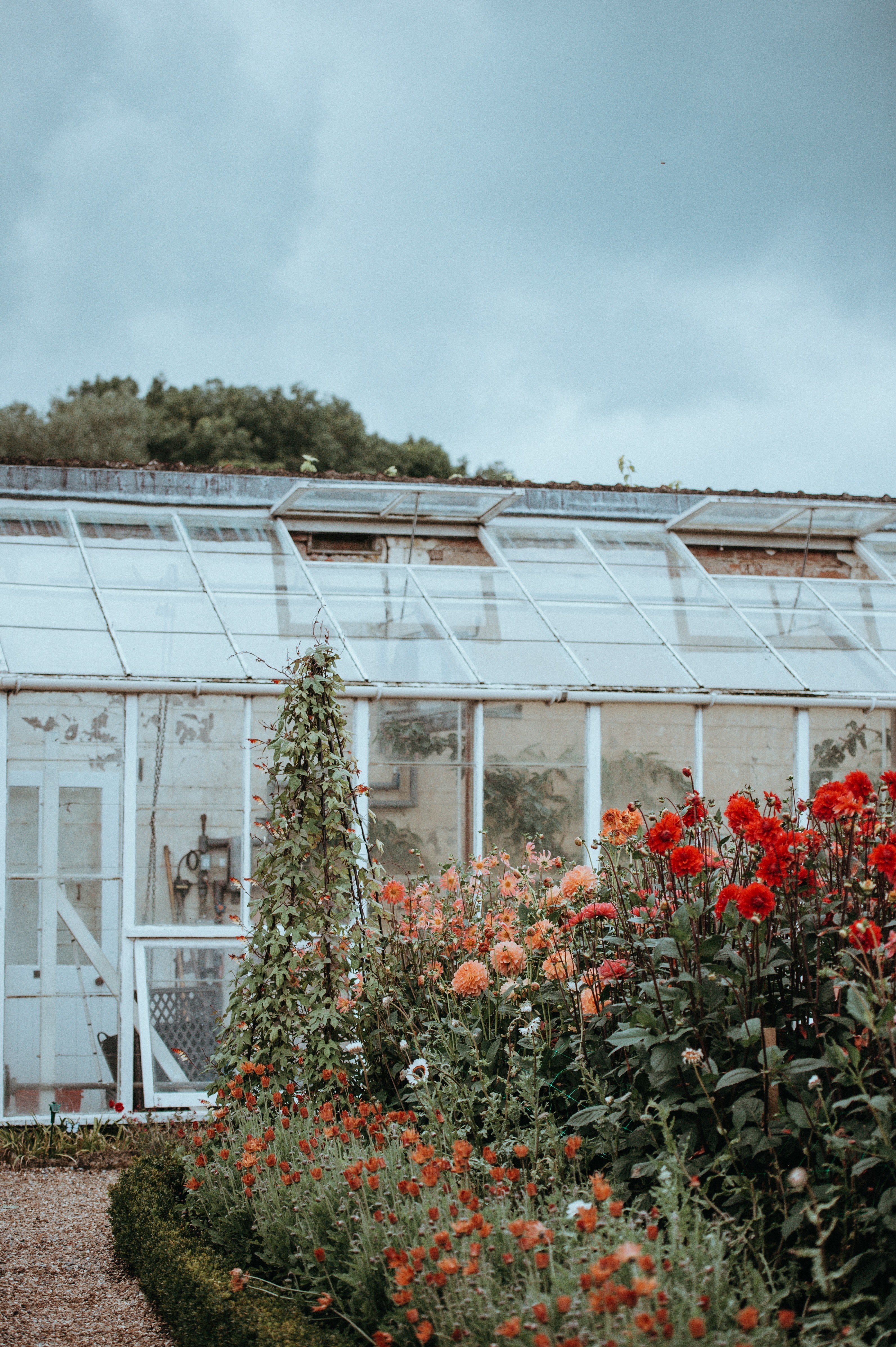 greenhouse 4k, Phone HD Wallpaper
