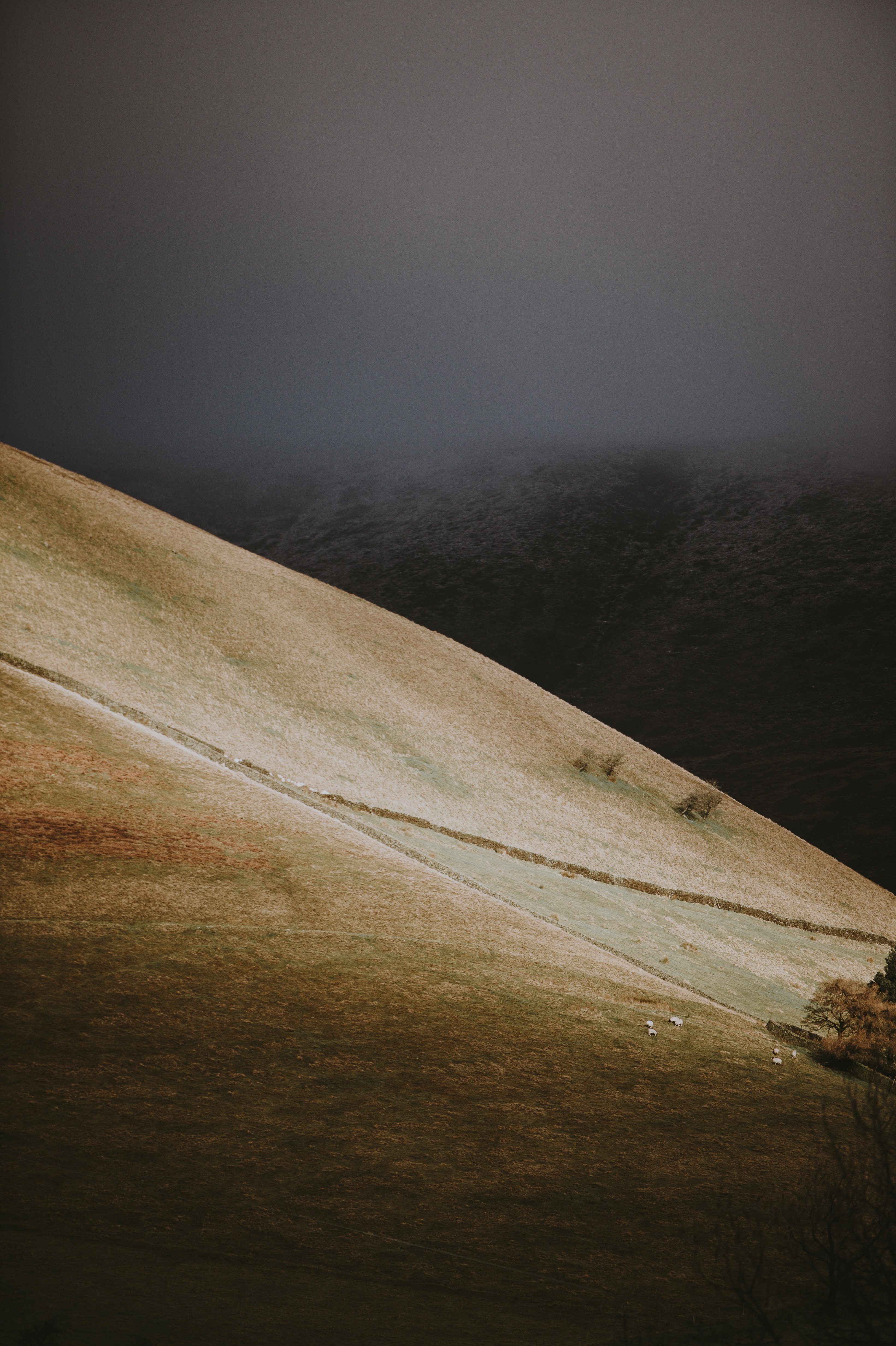 light on the hillside 4k, Phone HD Wallpaper
