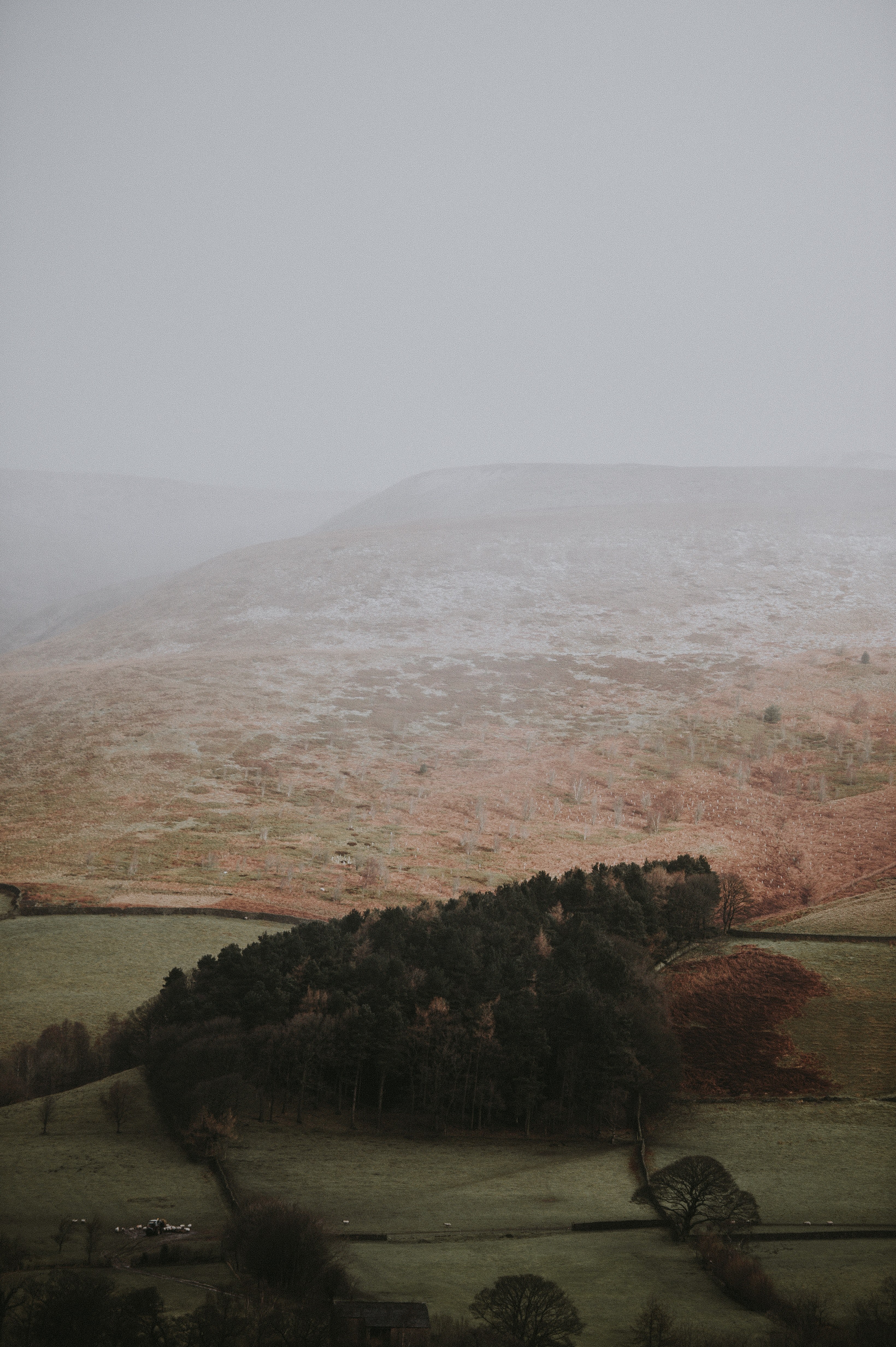 winter tones 4k, Phone HD Wallpaper