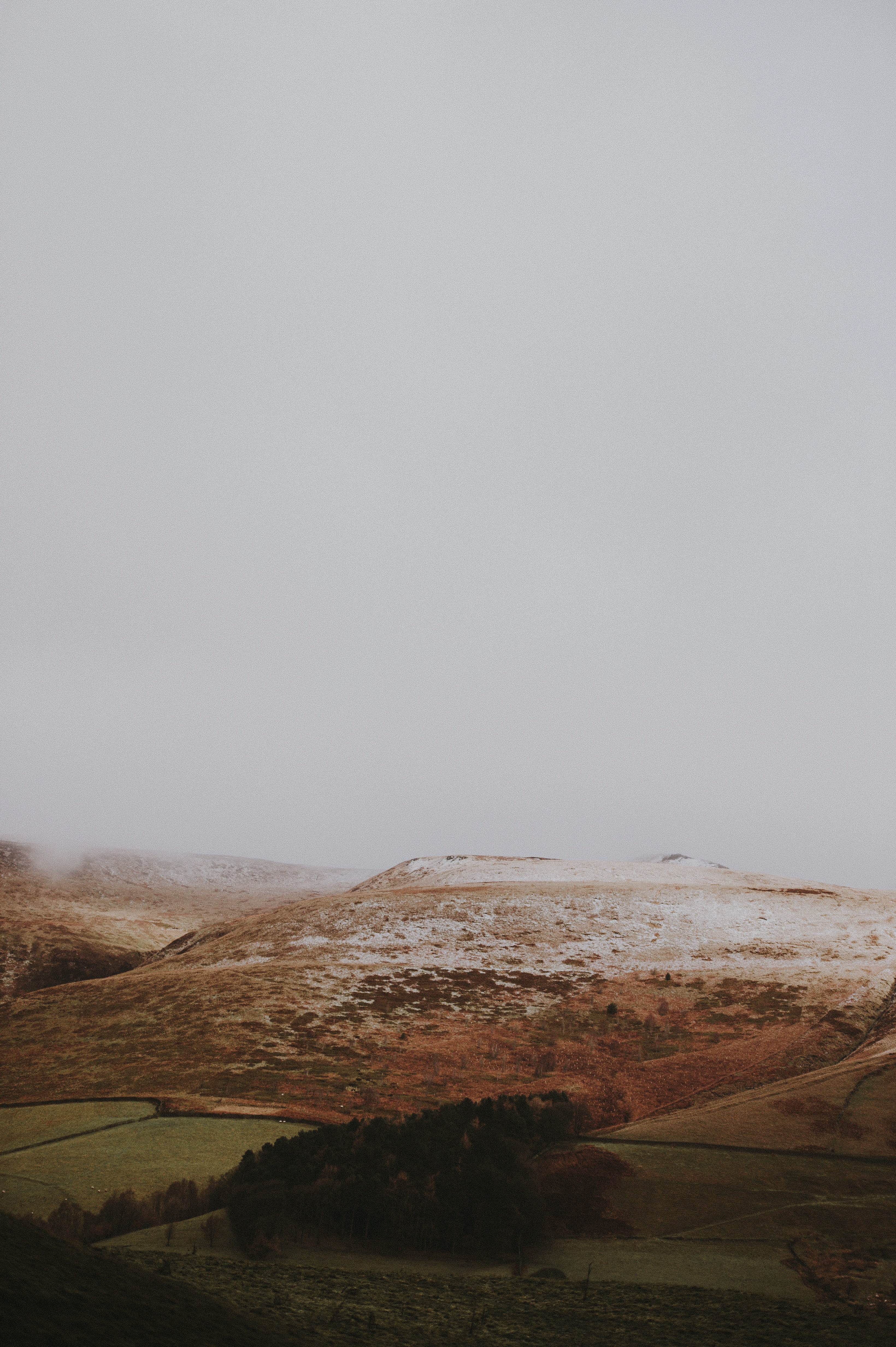 winter in the wilds 4k, Phone HD Wallpaper