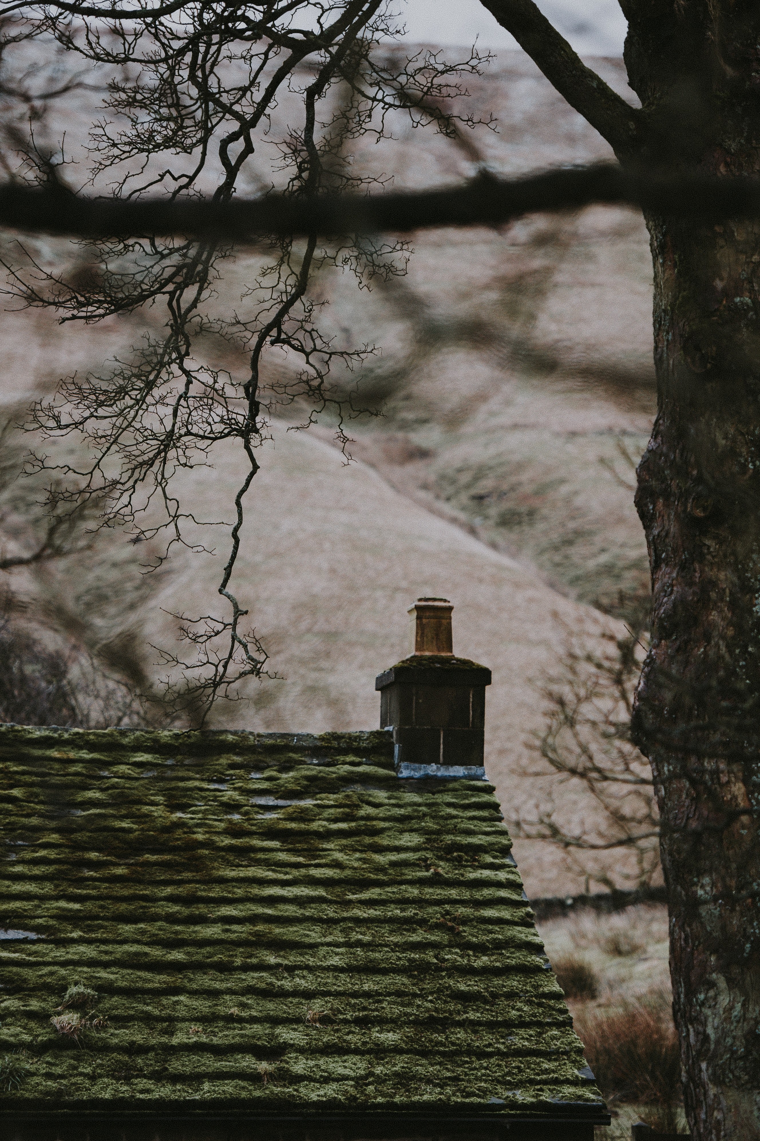 bunkhouse on the moors 4k, Phone HD Wallpaper