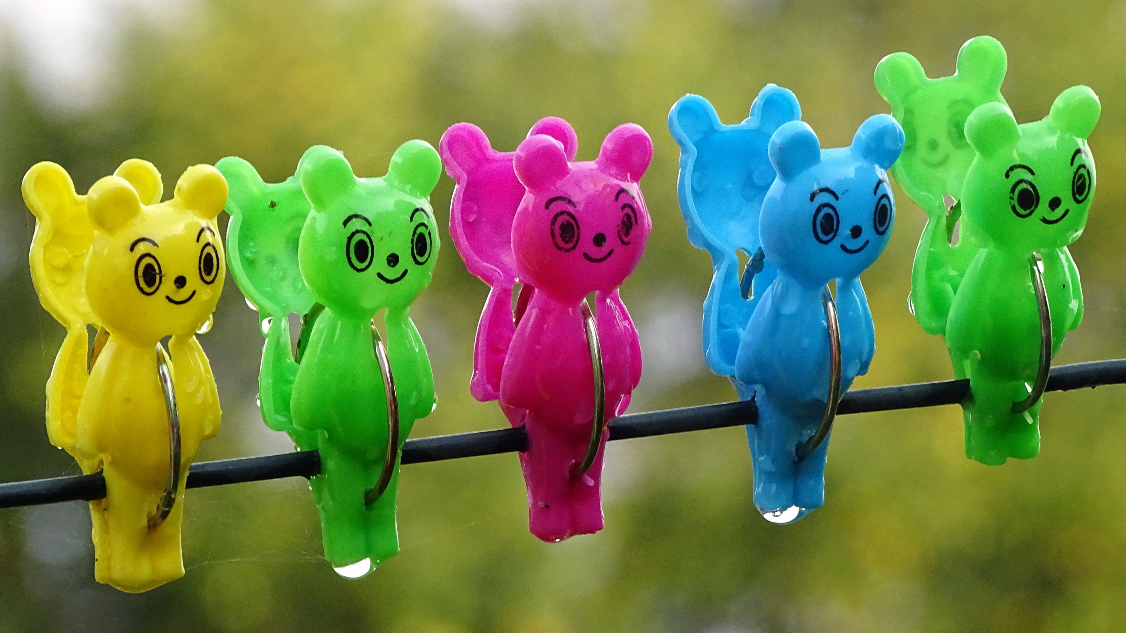clothespins, bear, bright, colorful, 4k, HD Wallpaper