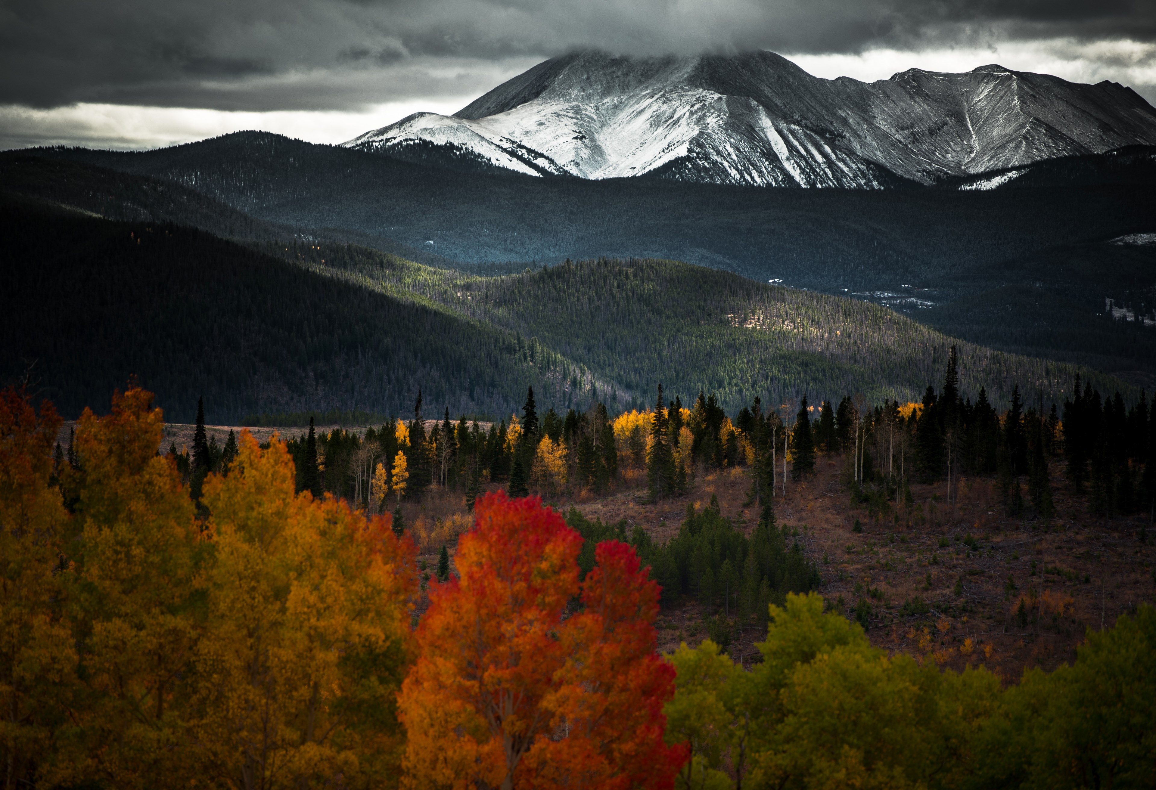 colorful autumn trees and undulating hills near snow capped mountains in silverthorne, beautiful mountainous scenery 4k, HD Wallpaper