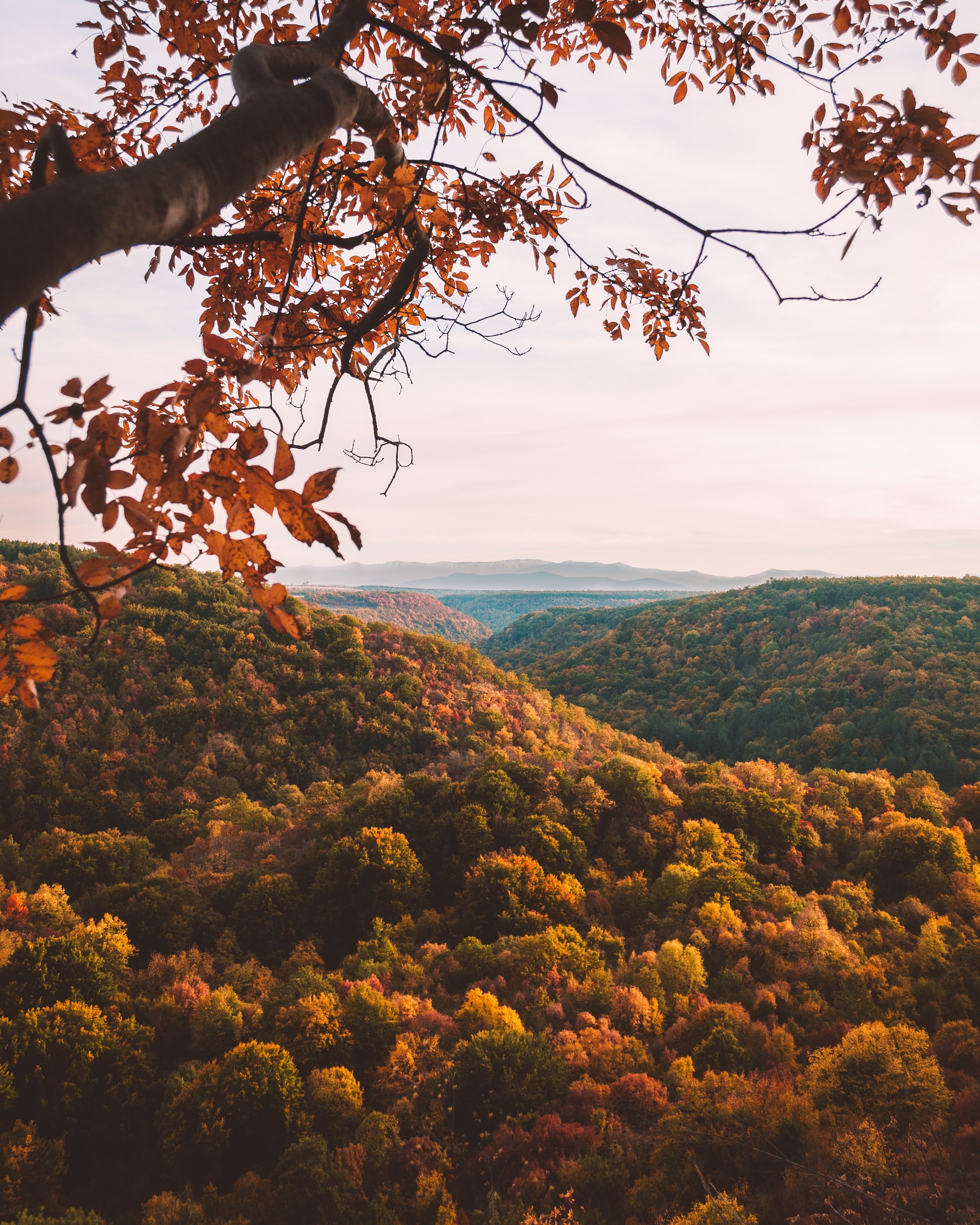 hello autumn 4k, Phone HD Wallpaper