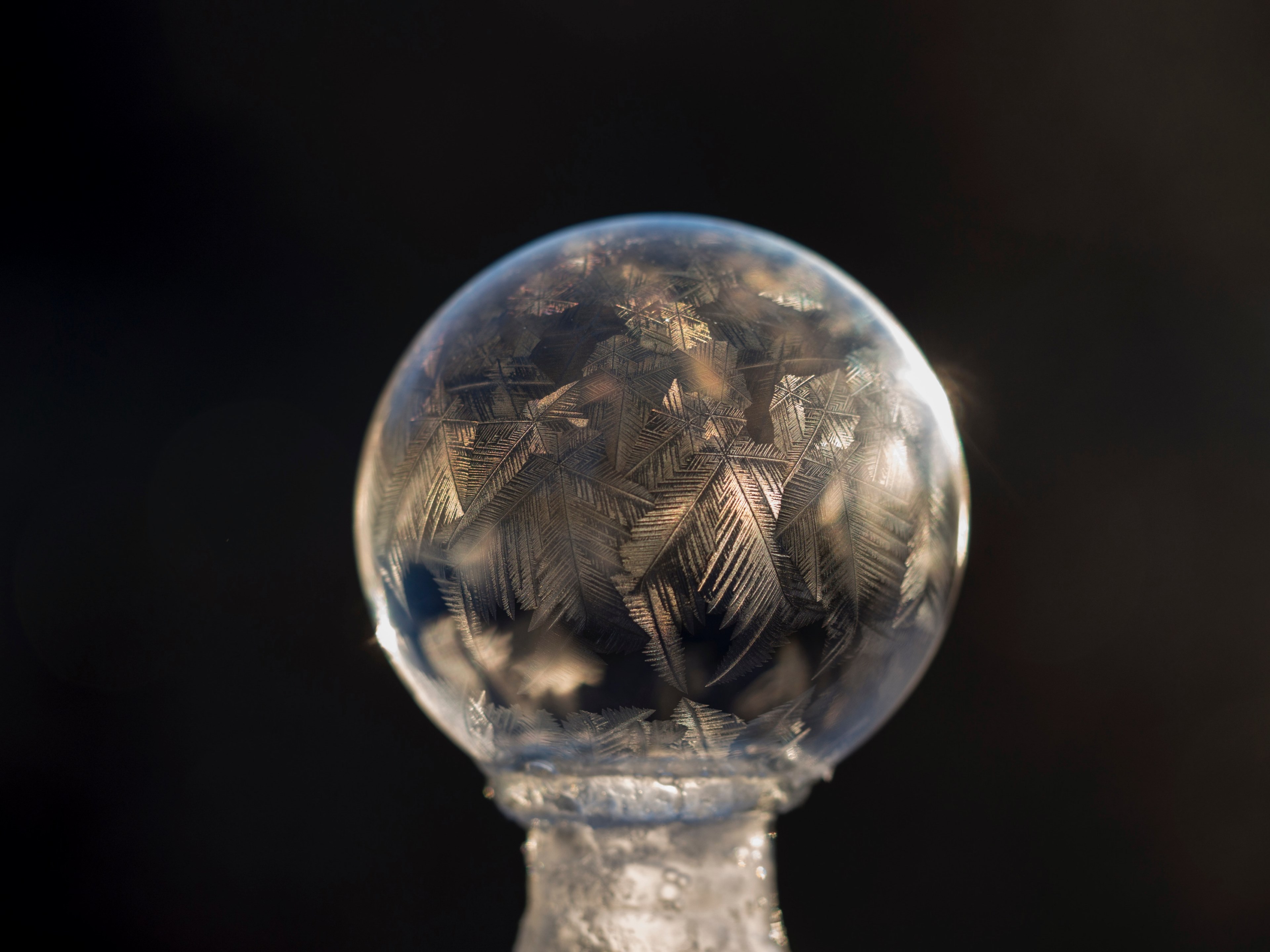 morning frost glistens and gleams in the sunlight on glass marble, frost glistens on a glass marble 4k, HD Wallpaper