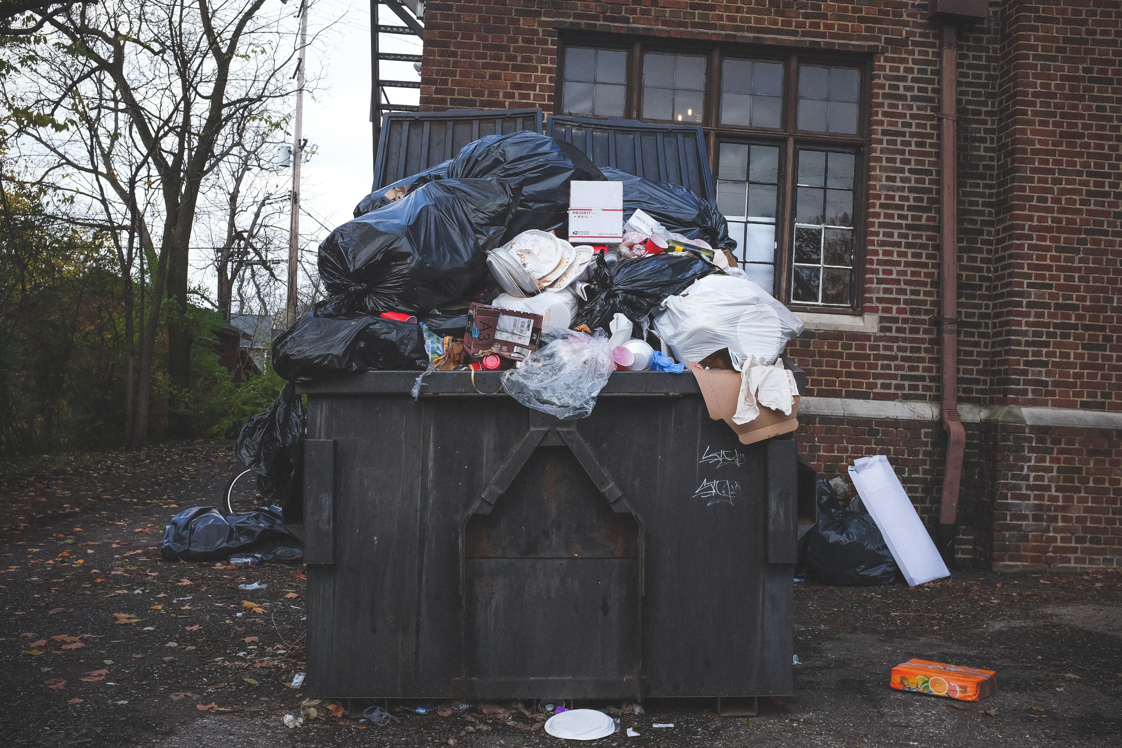 take out the trash 4k, HD Wallpaper