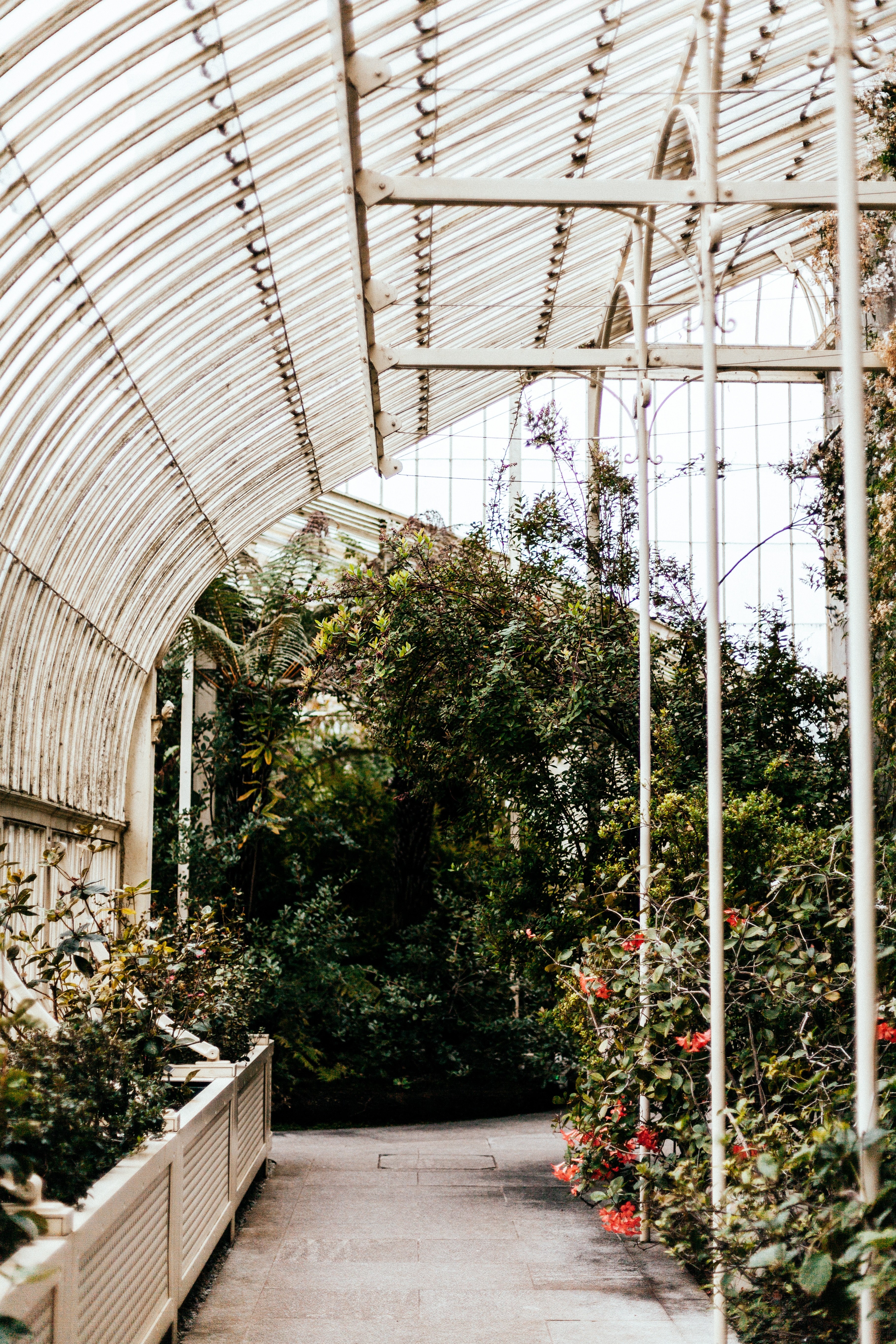 garden roof glass and greenhouse hd, 4k, Phone HD Wallpaper