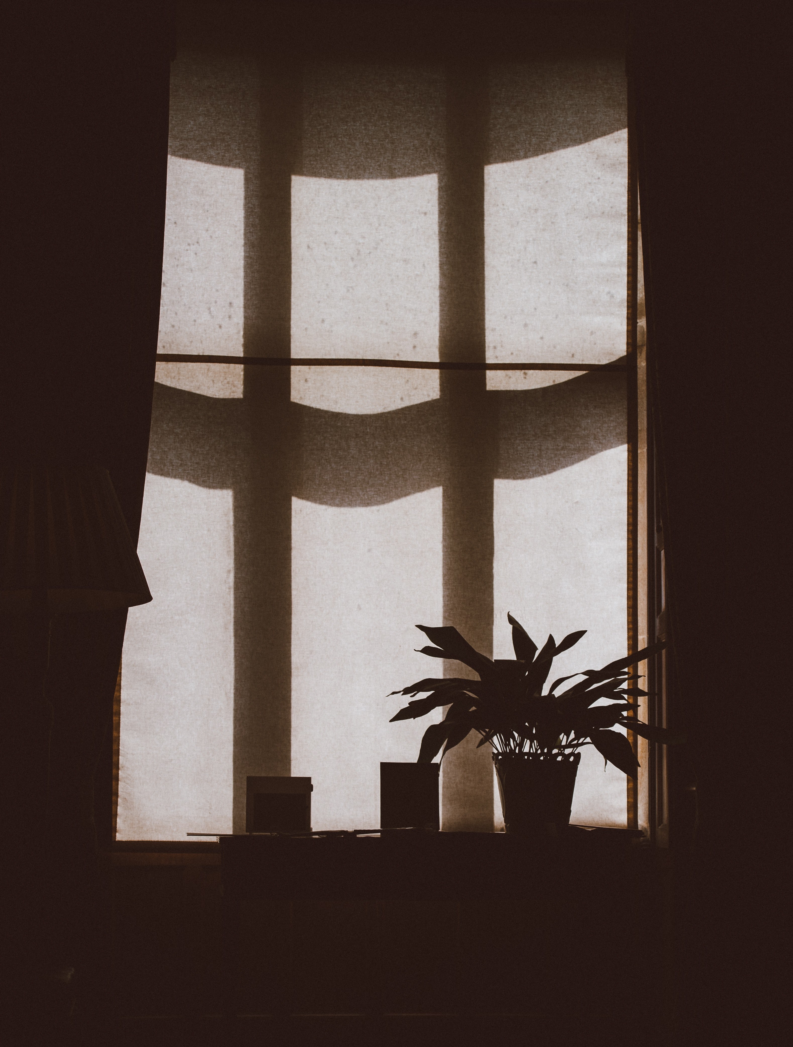 light and shade 4k, Phone HD Wallpaper