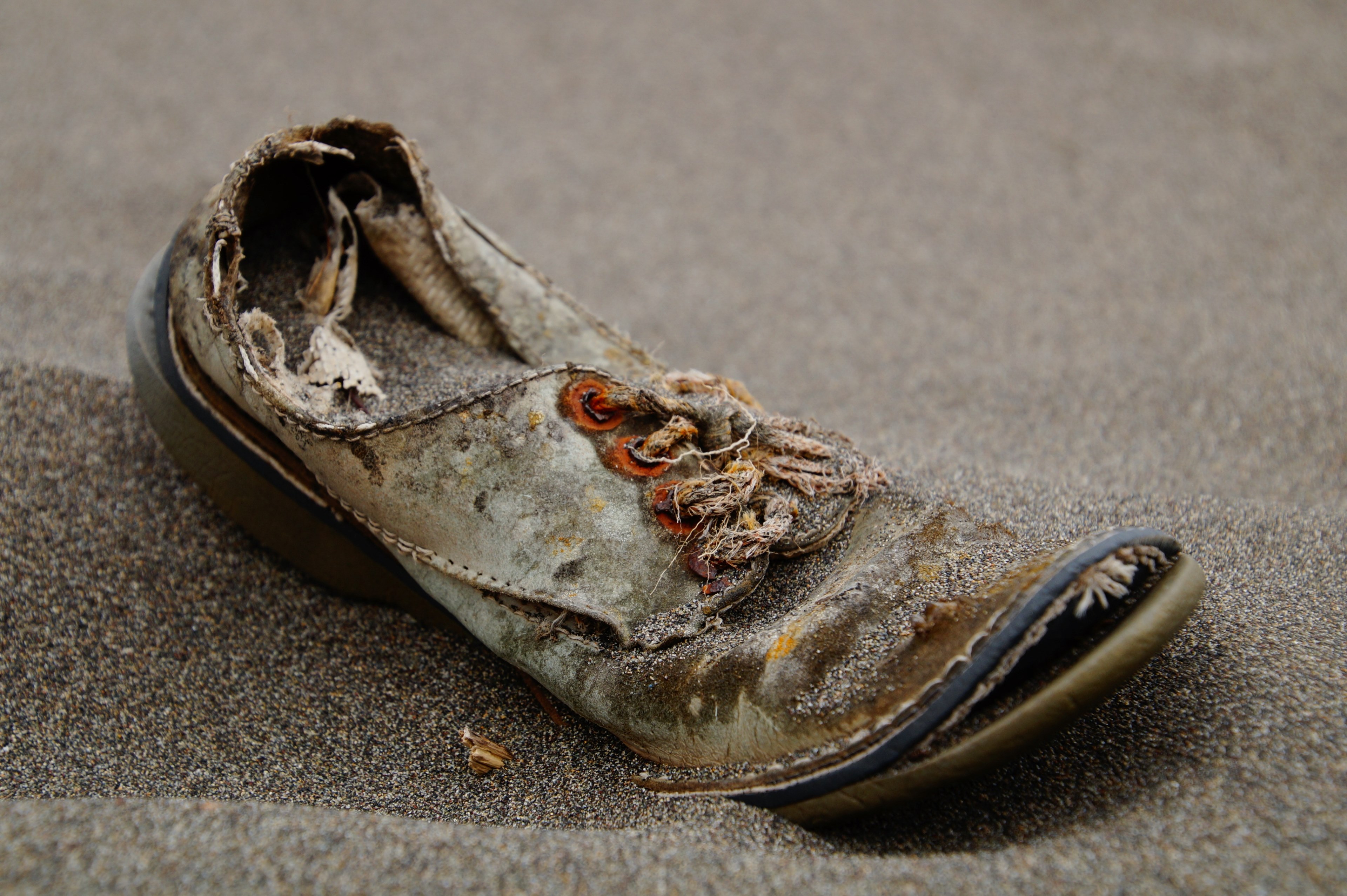 an old pair of mens lace shoes sitting in the sand in chile, old brown shoe with bad sole_ 4k, HD Wallpaper