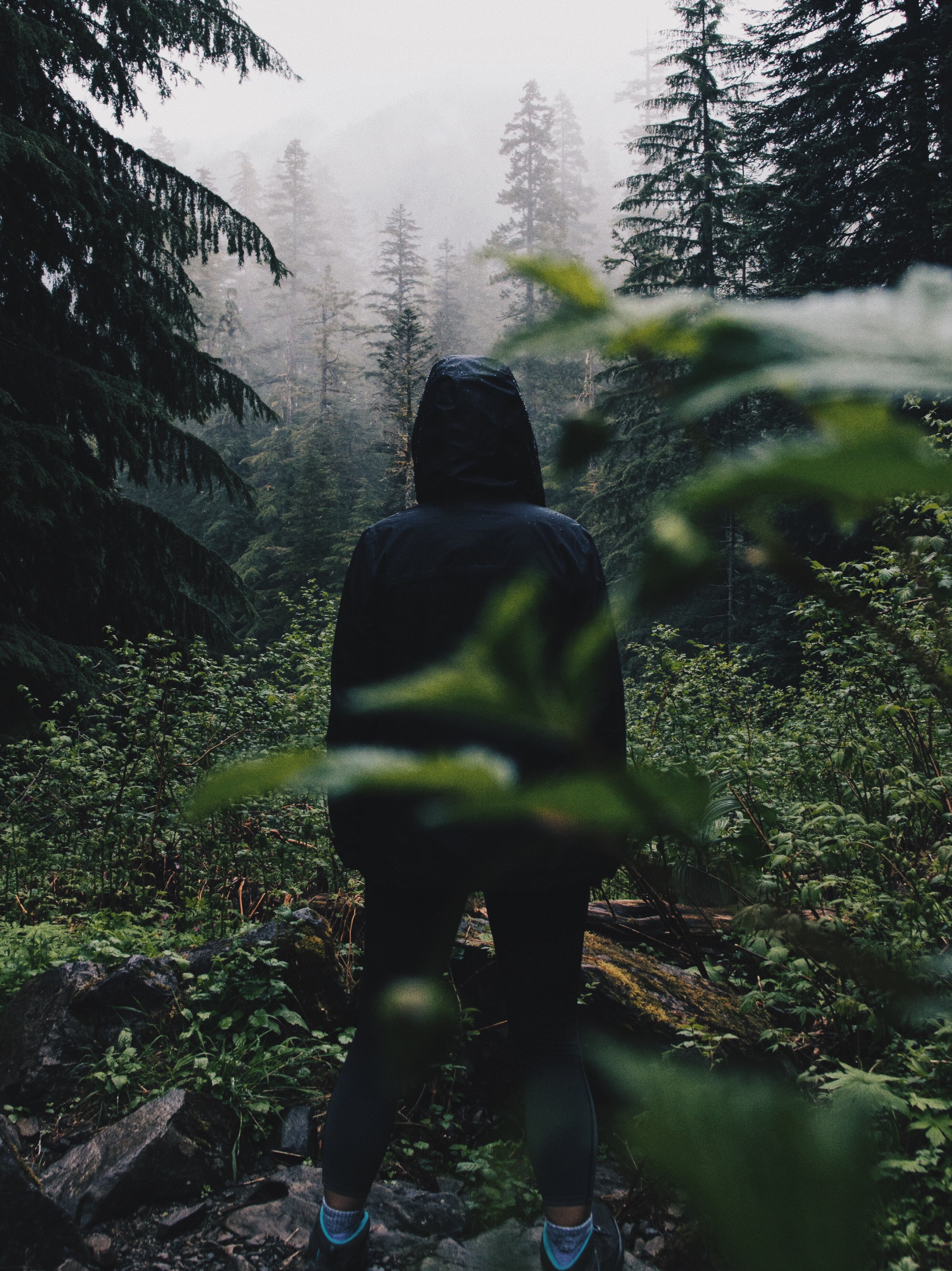 breathtaking fog 4k, Phone HD Wallpaper