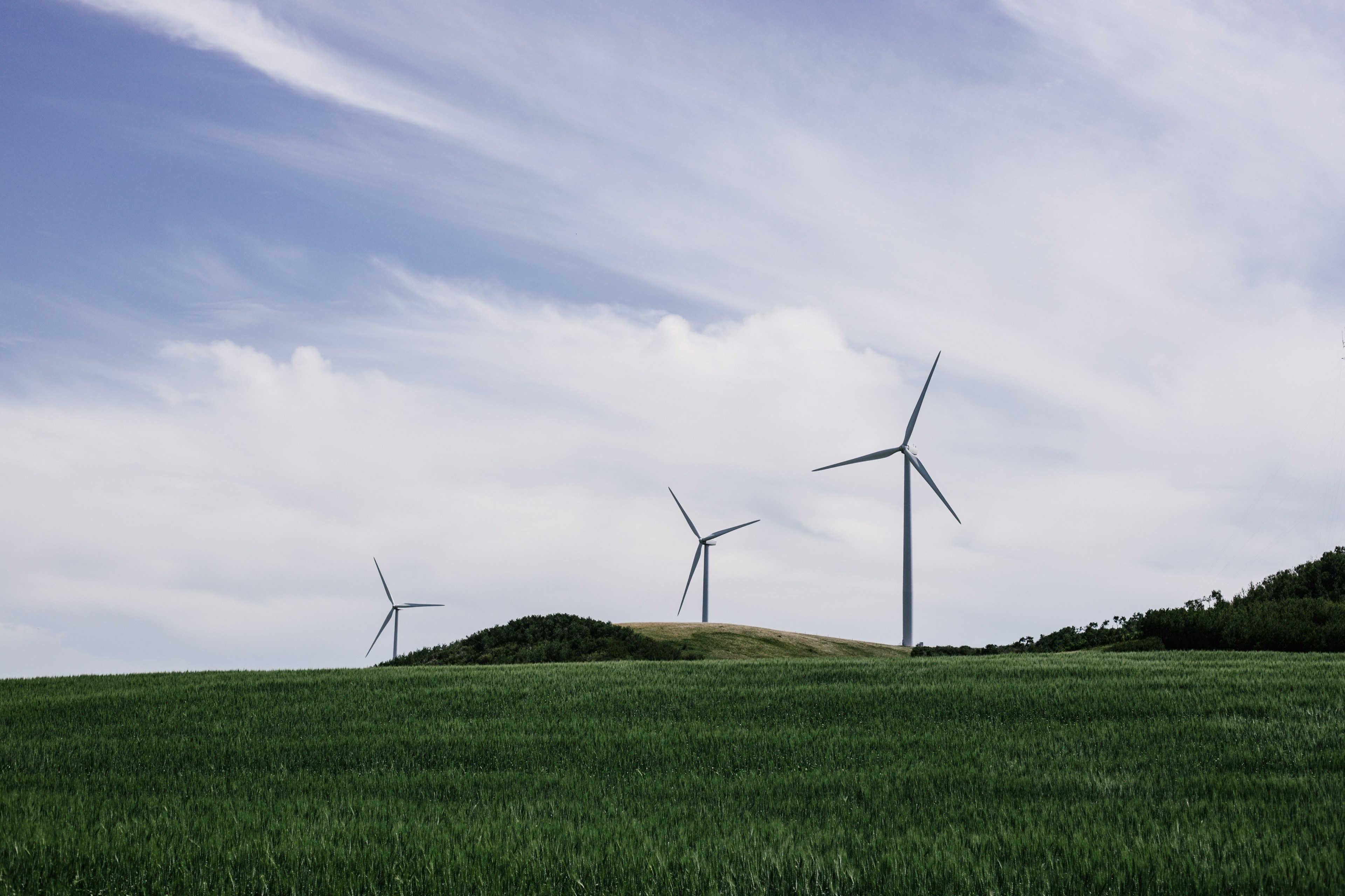 wind turbines create green energy in a lush pasture, windmills in a field 4k, HD Wallpaper