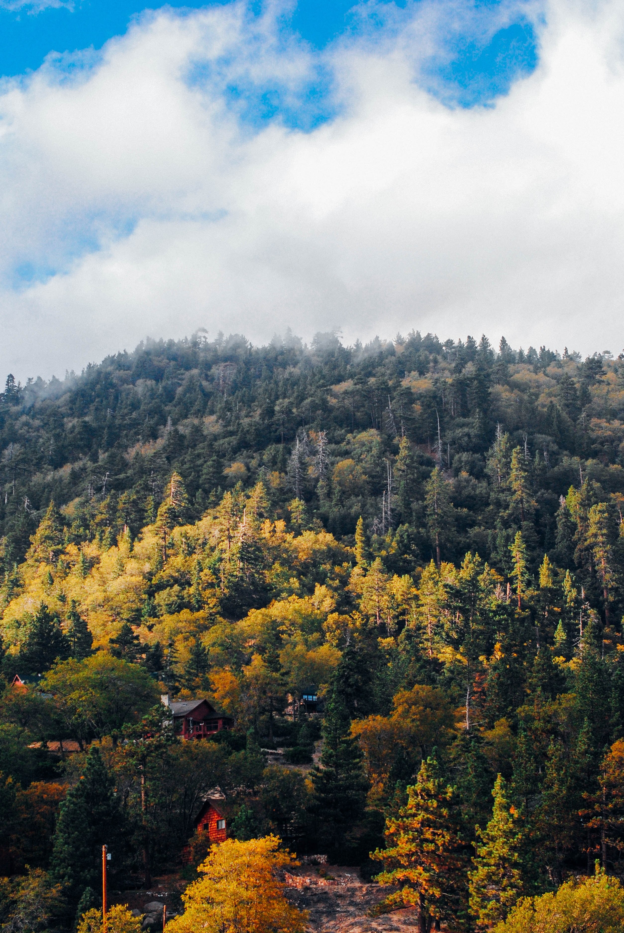 chalets on a forested slope near big bear lake in the autumn, chalets on a wooded slope 4k, Phone HD Wallpaper