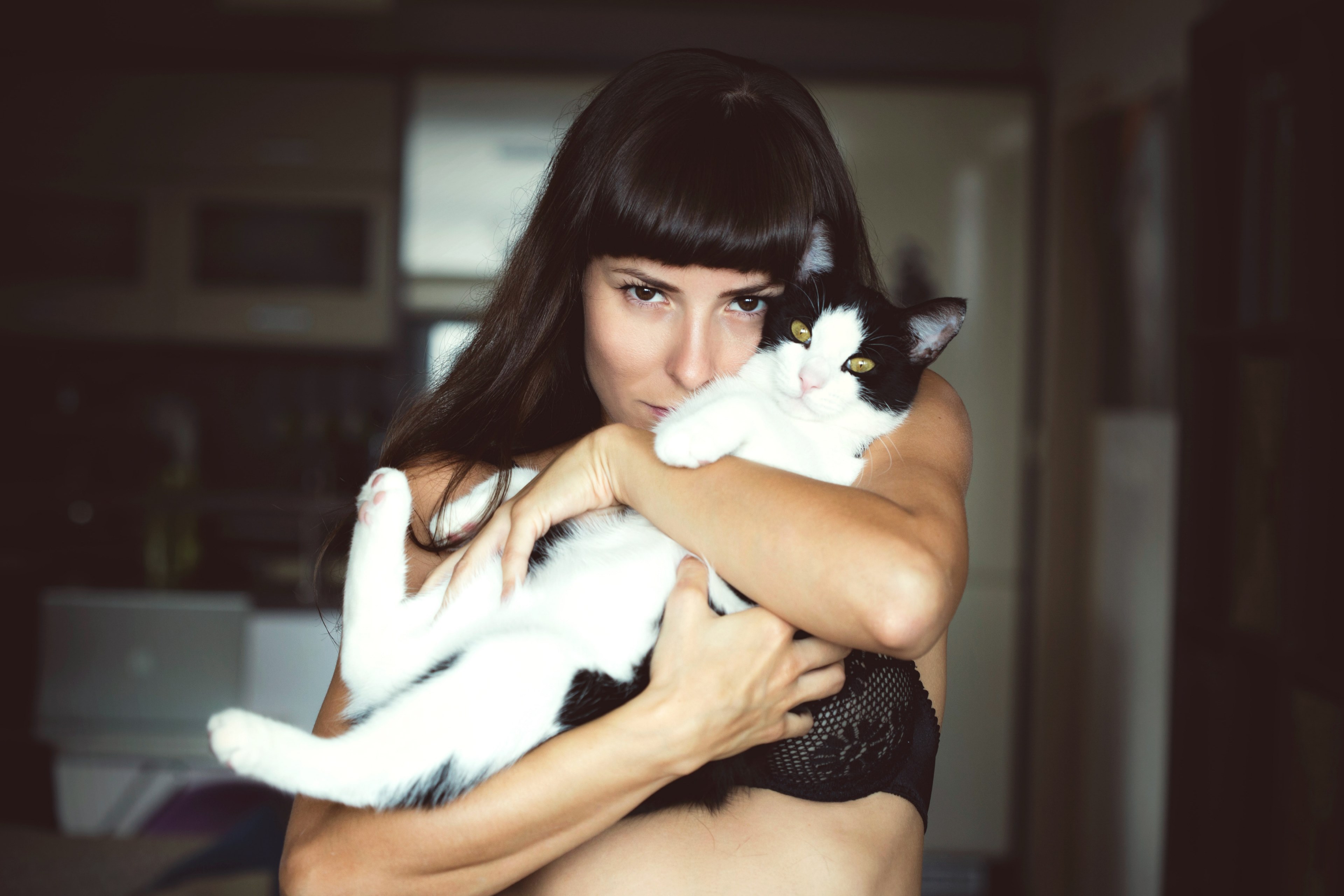 a dark haired woman in her underwear holding a black and white cat, woman with a cat 4k, HD Wallpaper