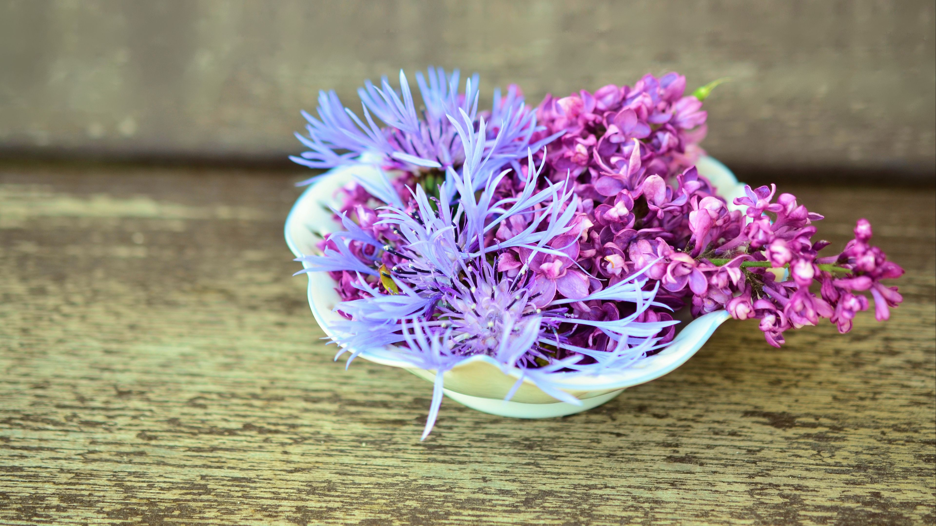 lilac, cornflower, flowers, decoration, 4k, HD Wallpaper