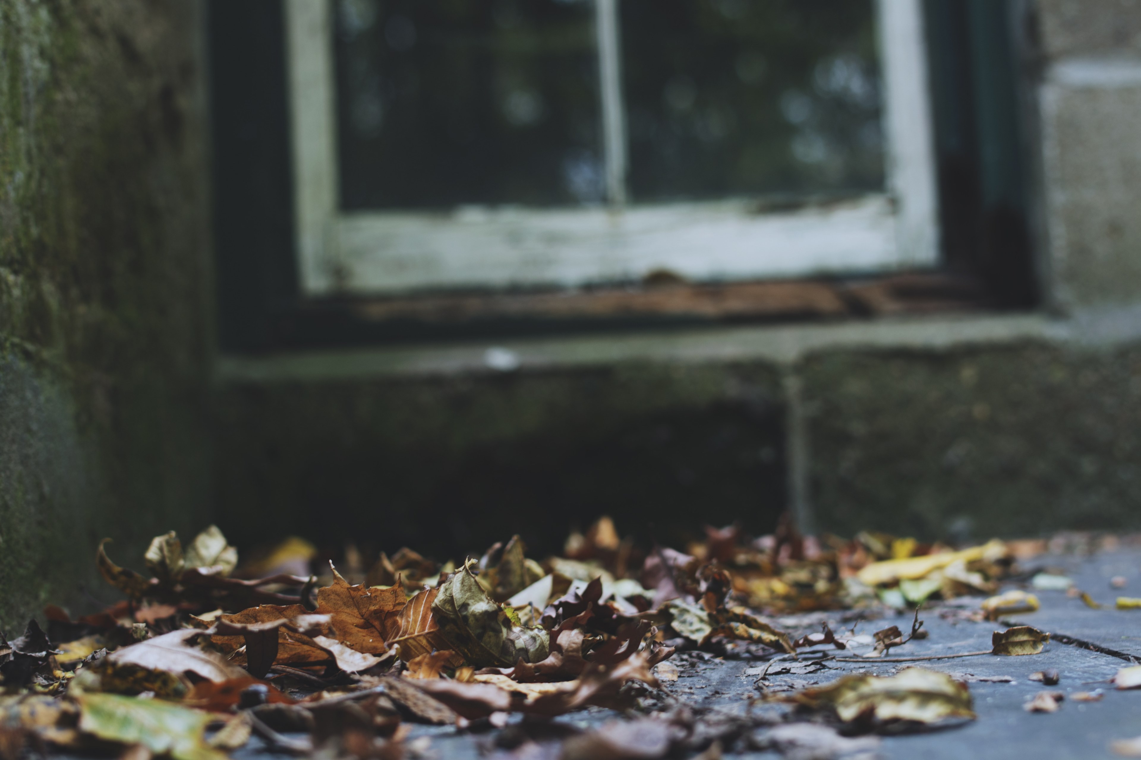 accidental hike 4k, HD Wallpaper