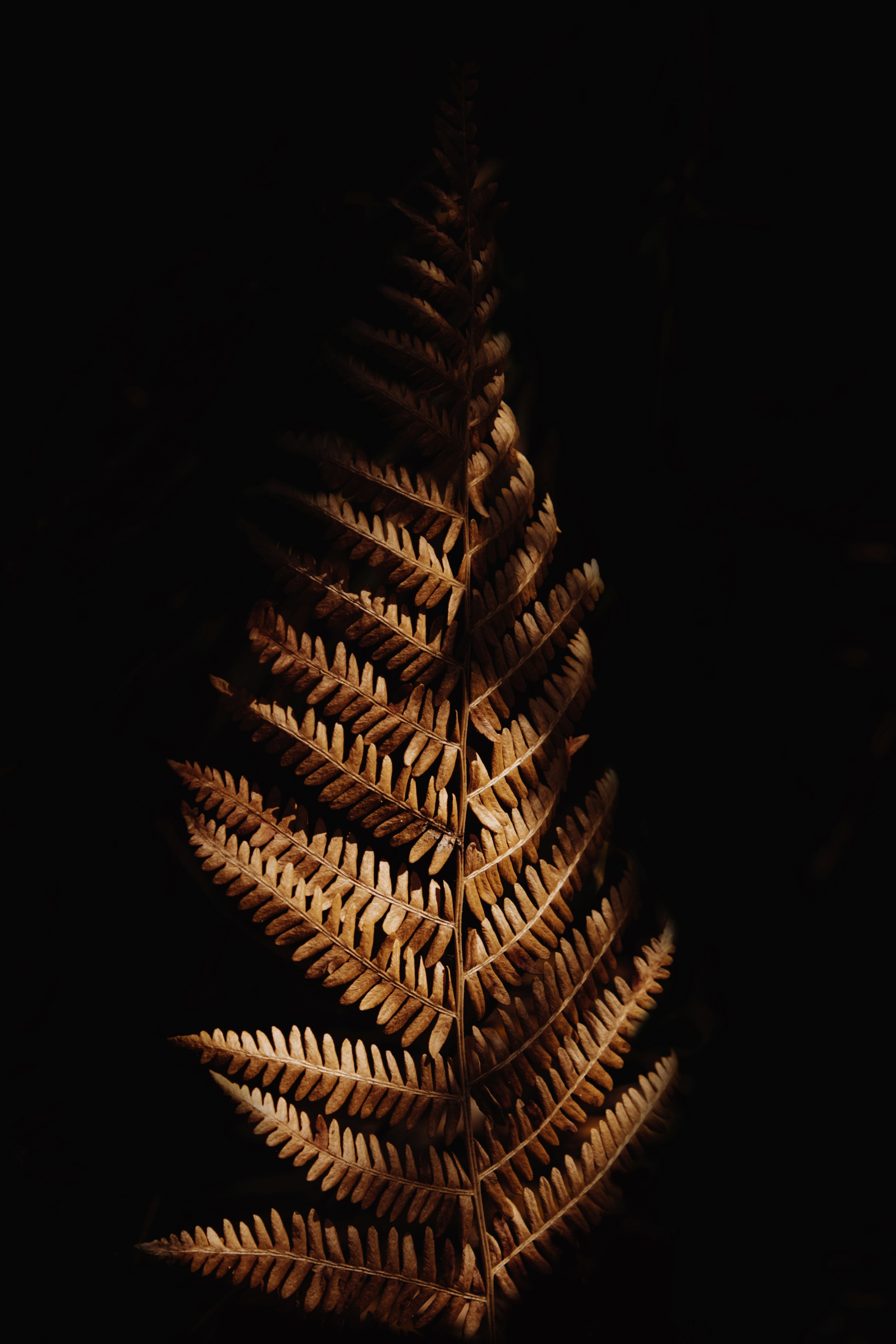chasing the light and shadow 4k, Phone HD Wallpaper