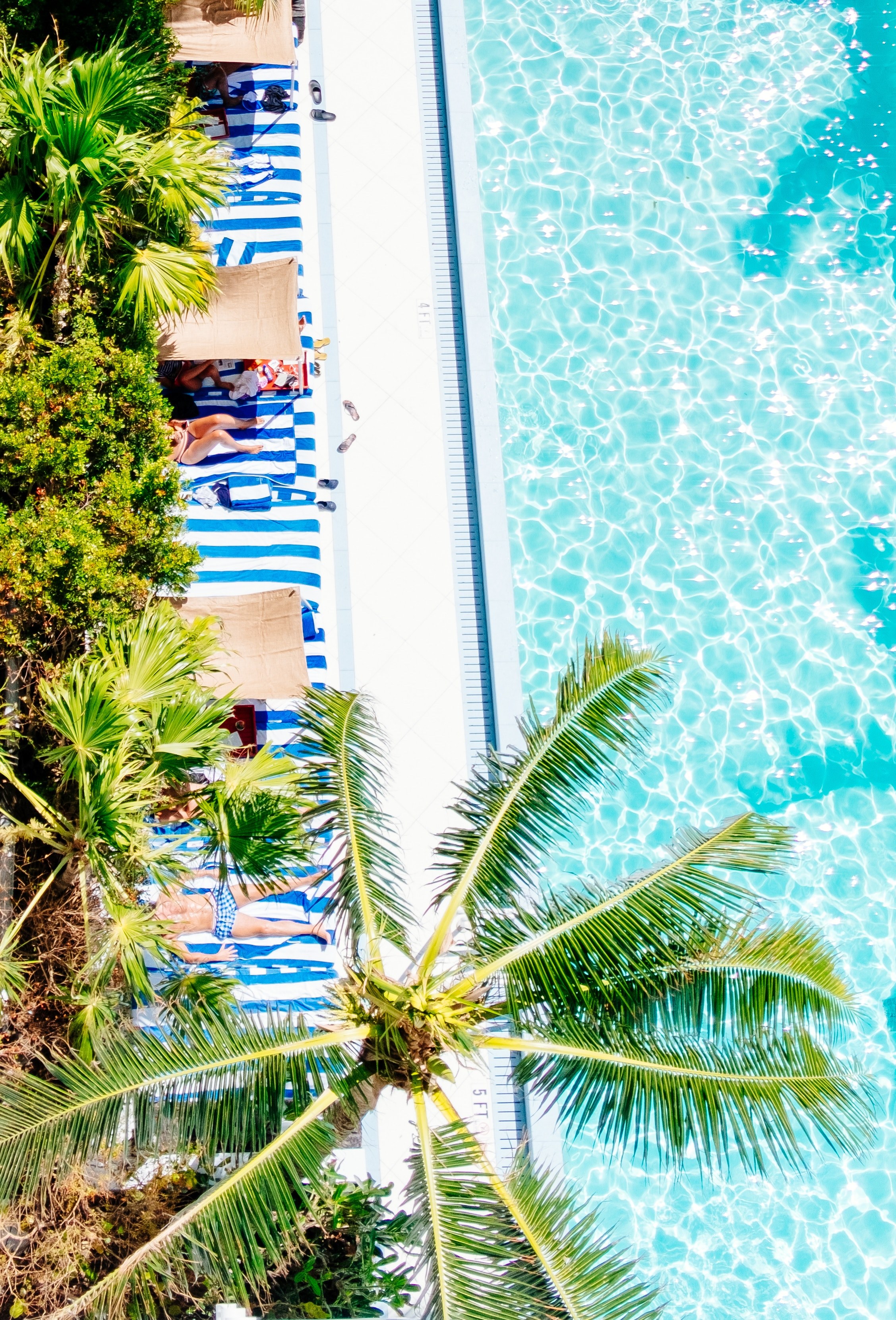 water pool swimming pool and ripple hd, 4k, Phone HD Wallpaper