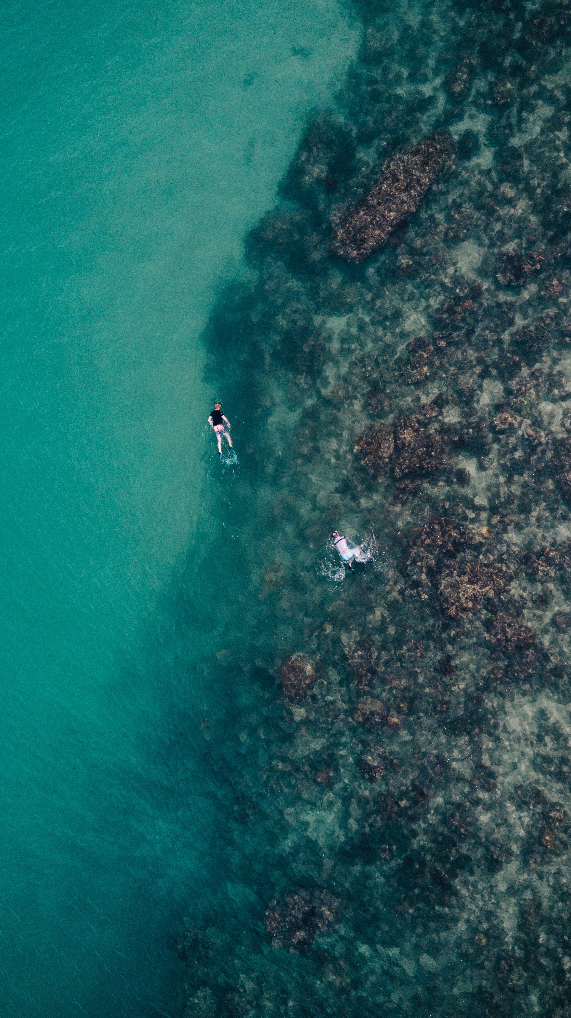 drone aerial view of people snorkeling at the coral reef in indonesia, looking for treasures 4k, Phone HD Wallpaper