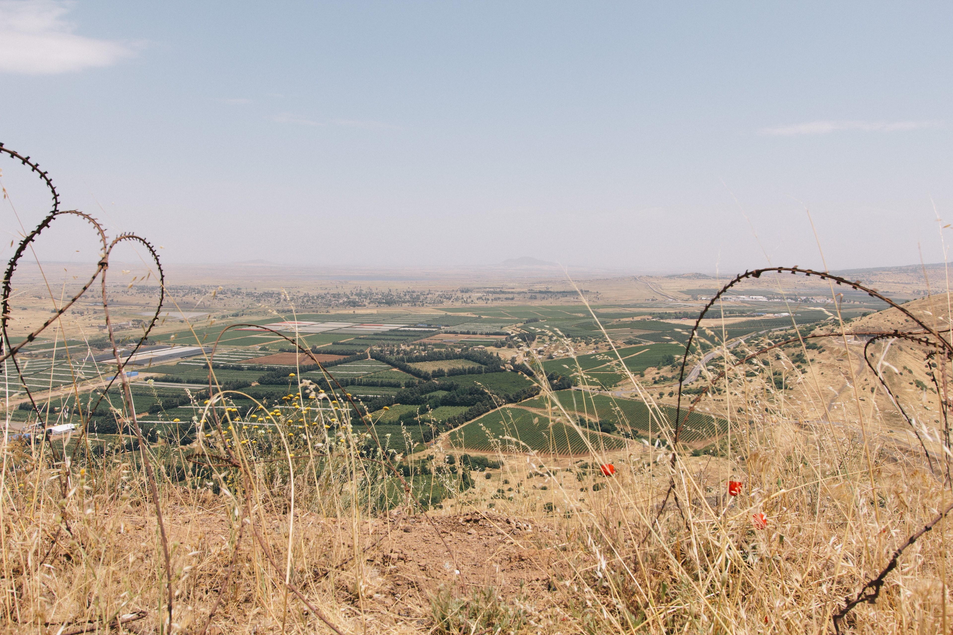 rusty barbed wire on a hill overlooking a town, _rusty barbed wire 4k, HD Wallpaper