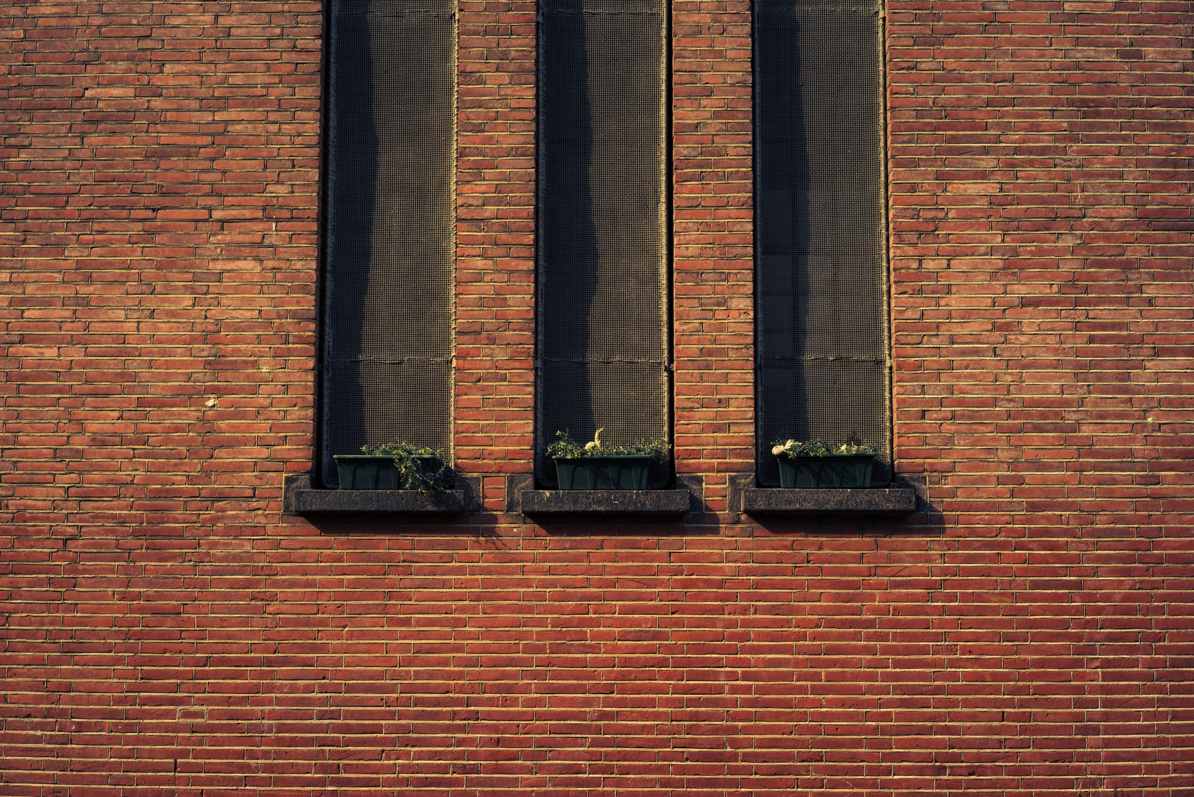 three somber windows 4k, HD Wallpaper