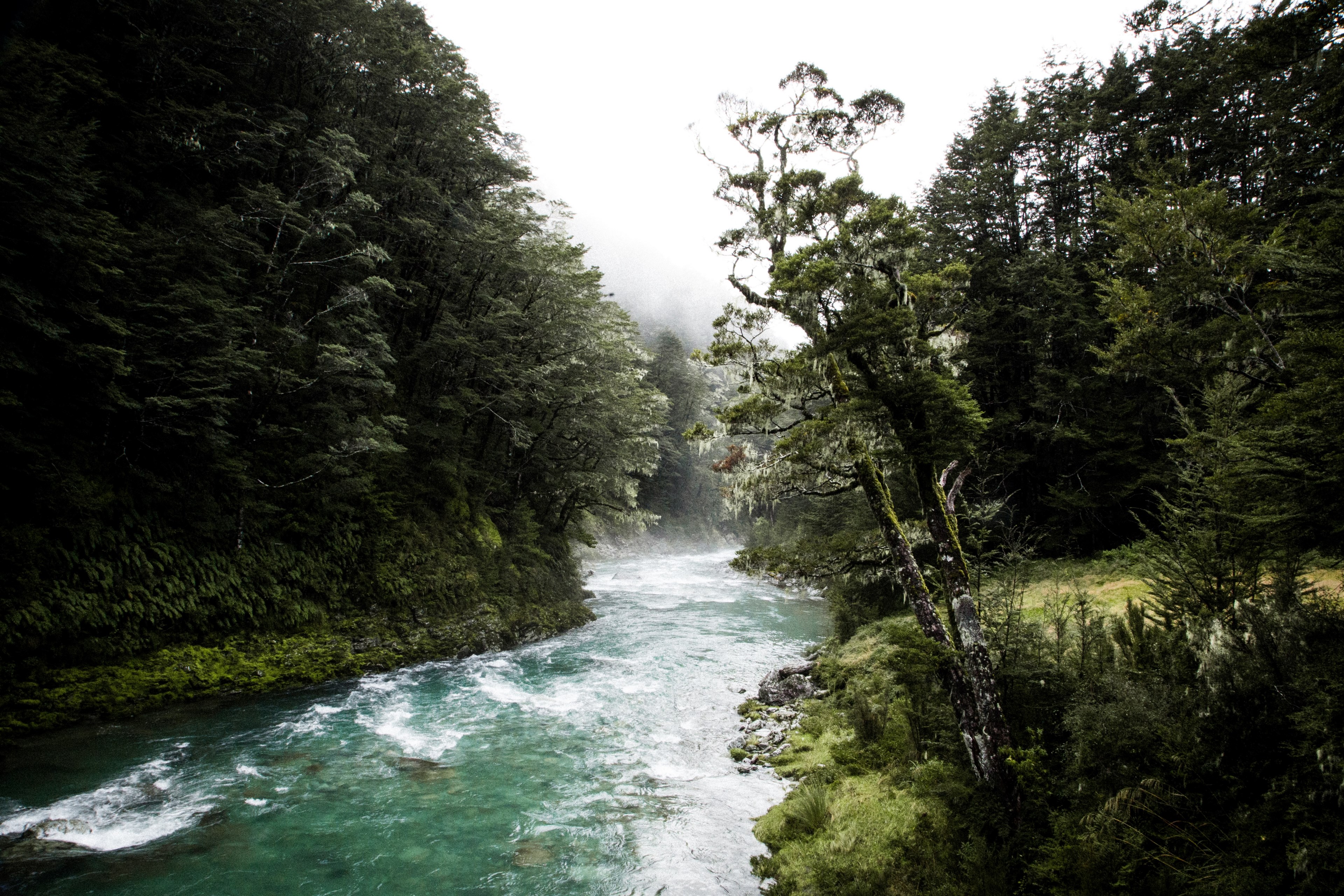 new zealand wedding turned adventure 4k, HD Wallpaper