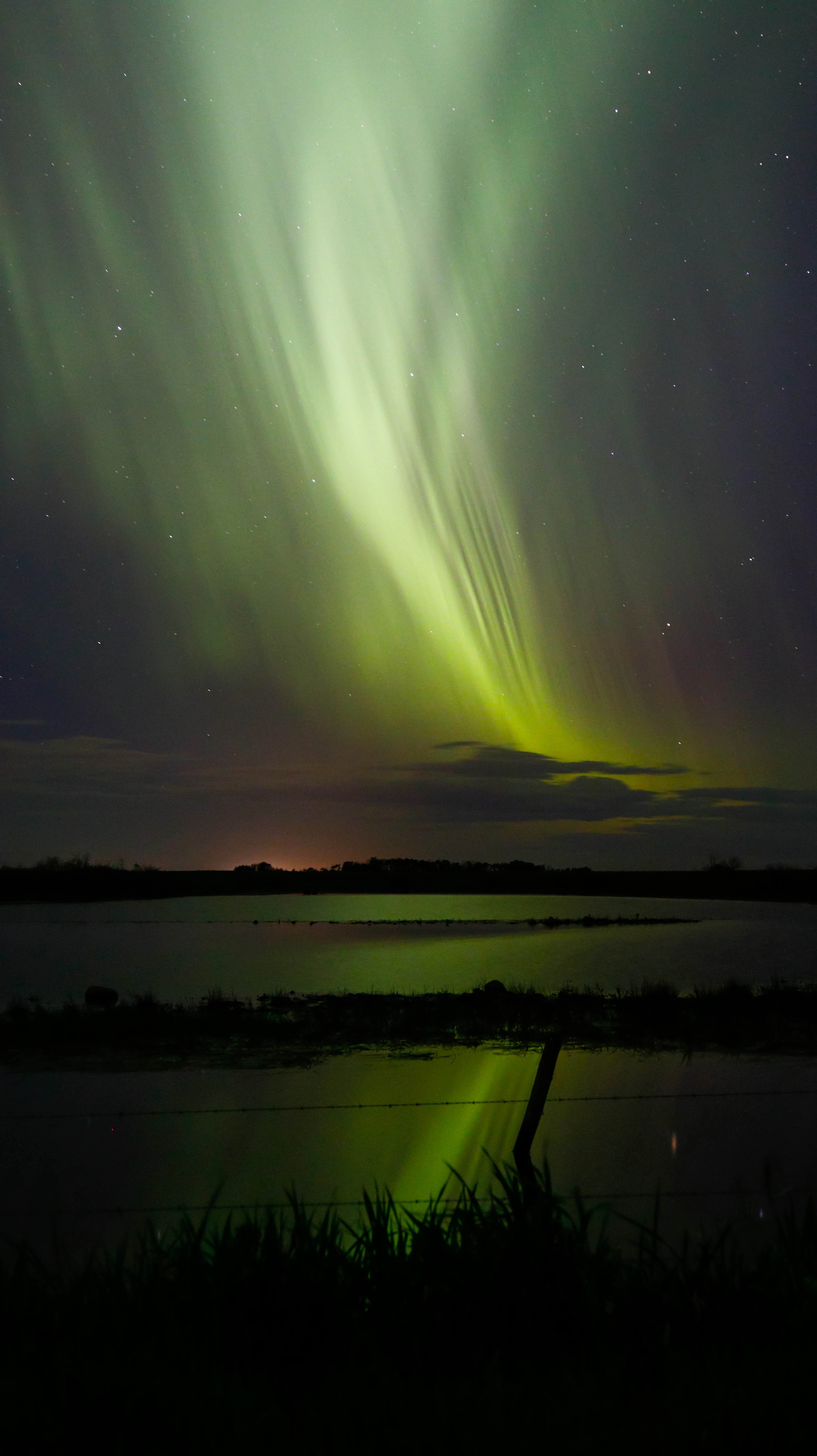 beautiful green northern lights in the night sky above a wire fence, aurora 4k, Phone HD Wallpaper