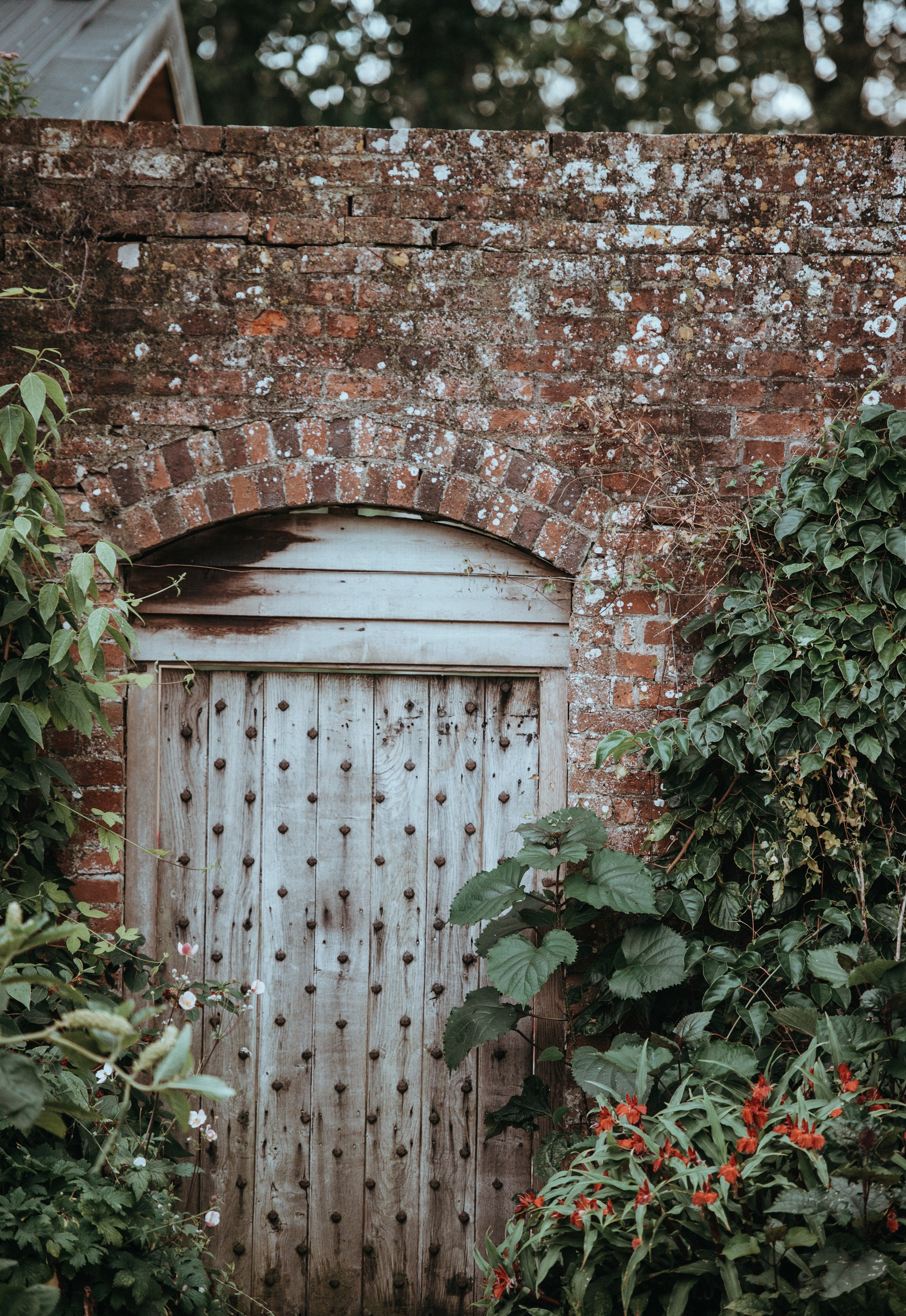 old doorway 4k, Phone HD Wallpaper