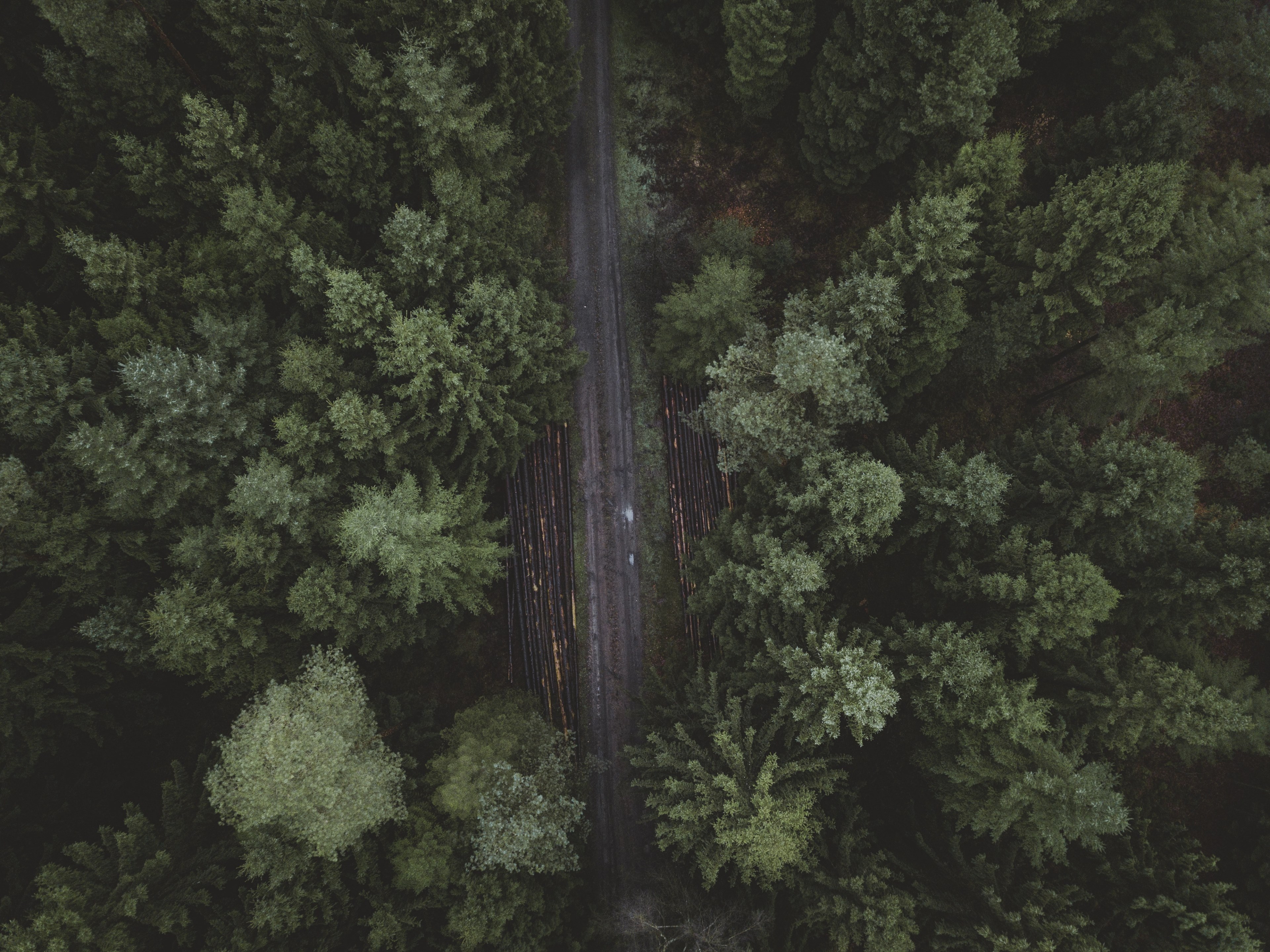 find your path 4k, HD Wallpaper