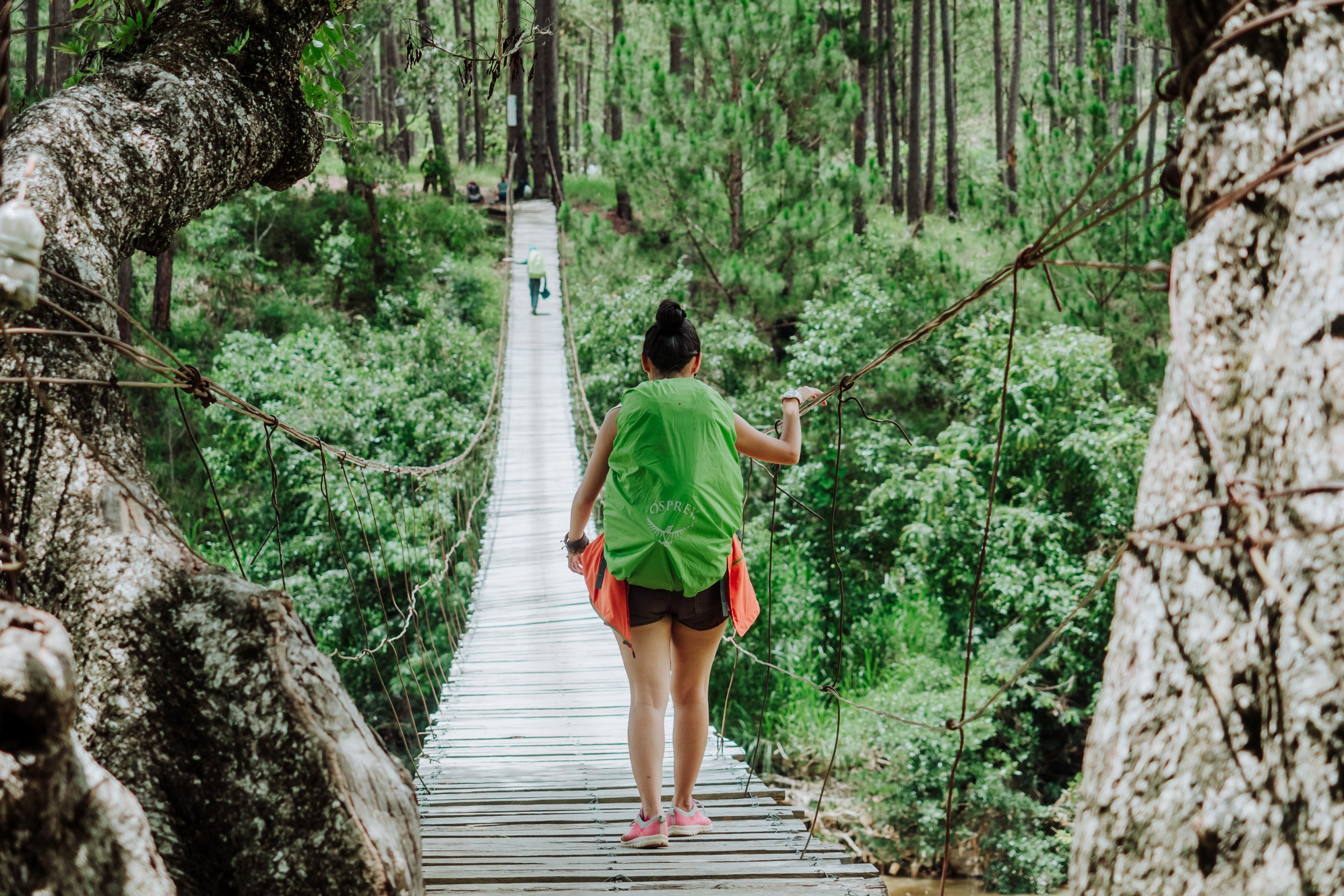 a person in a green pack walks down a suspended wooden footbridge in dalat, when in dalat 4k, HD Wallpaper