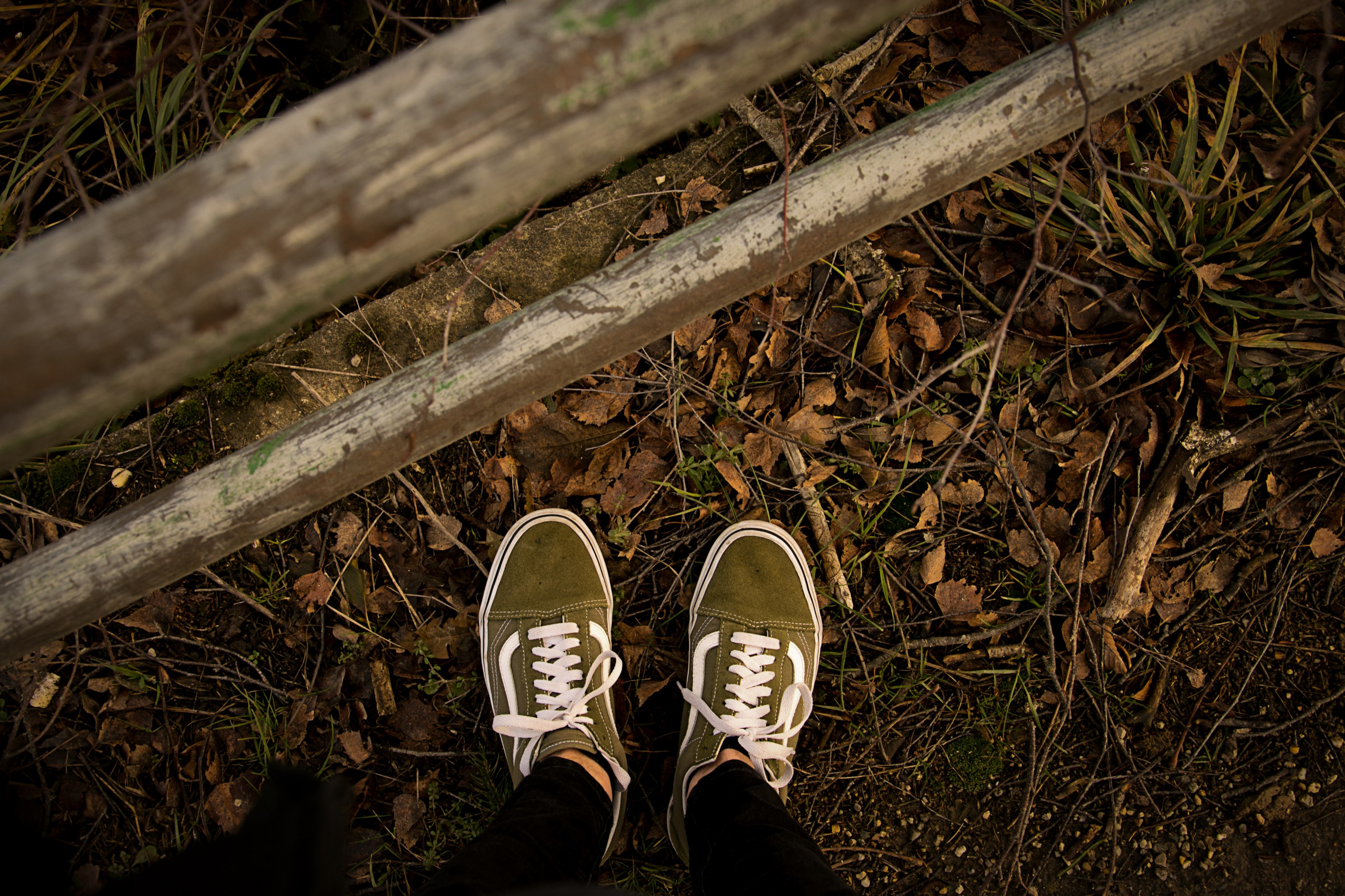 wandering through the woods 4k, HD Wallpaper