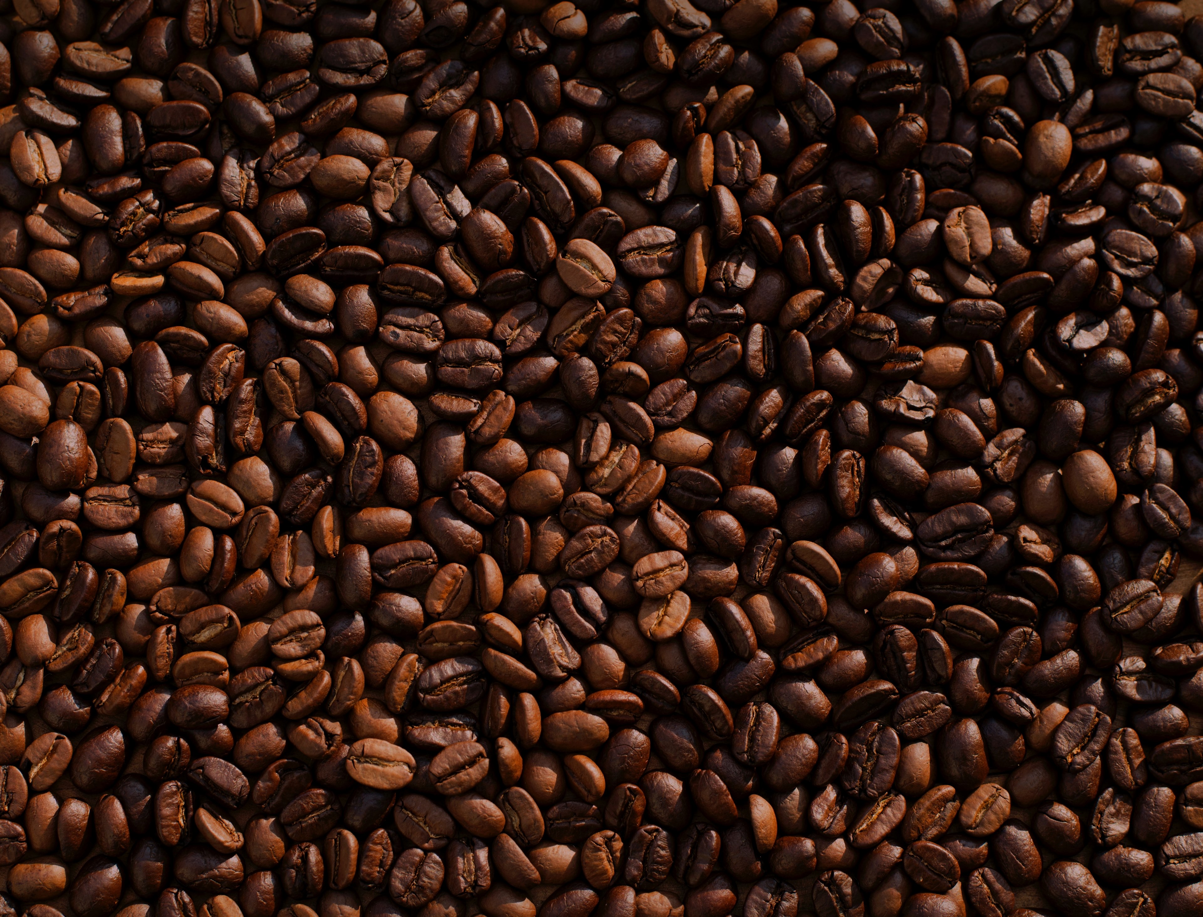 coffee bean coffee bean and brown 4k, HD Wallpaper