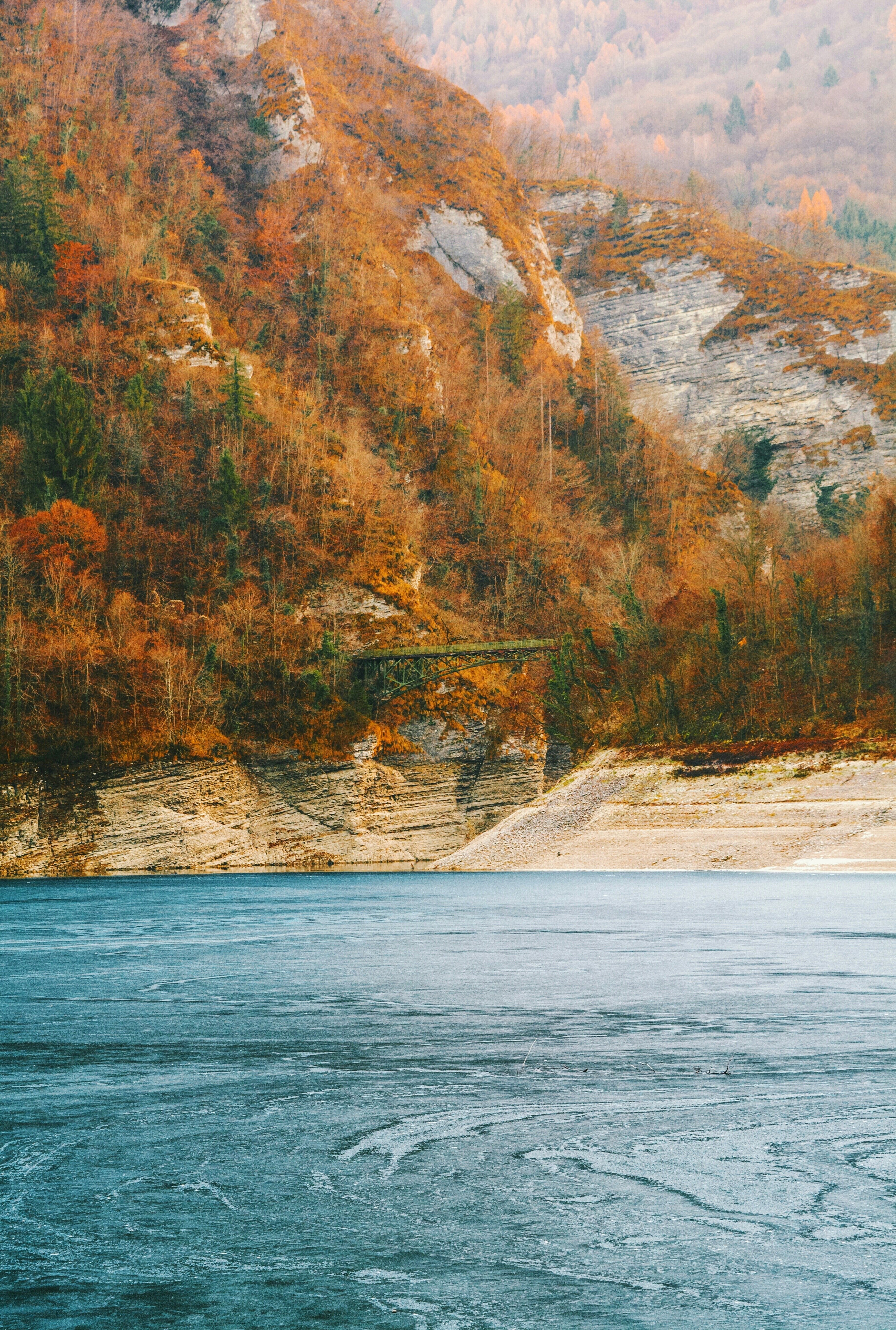 mountains covered with orange leafed trees near a frozen lake, orange trees by a frozen lake 4k, Phone HD Wallpaper