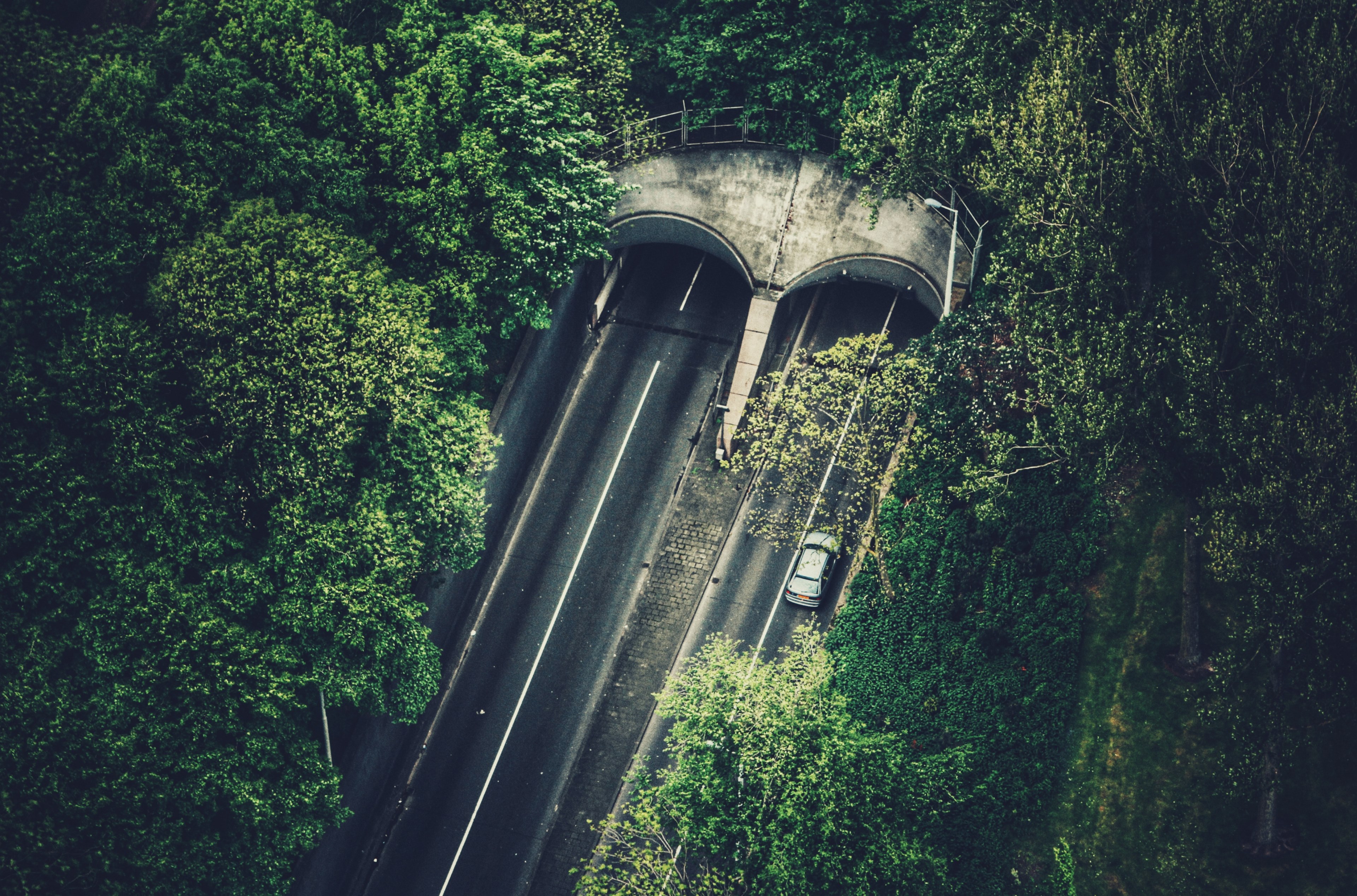 drone shot of highway tunnel in rotterdam surrounded by trees and forest, highway tunnel in rotterdam with trees 4k, HD Wallpaper