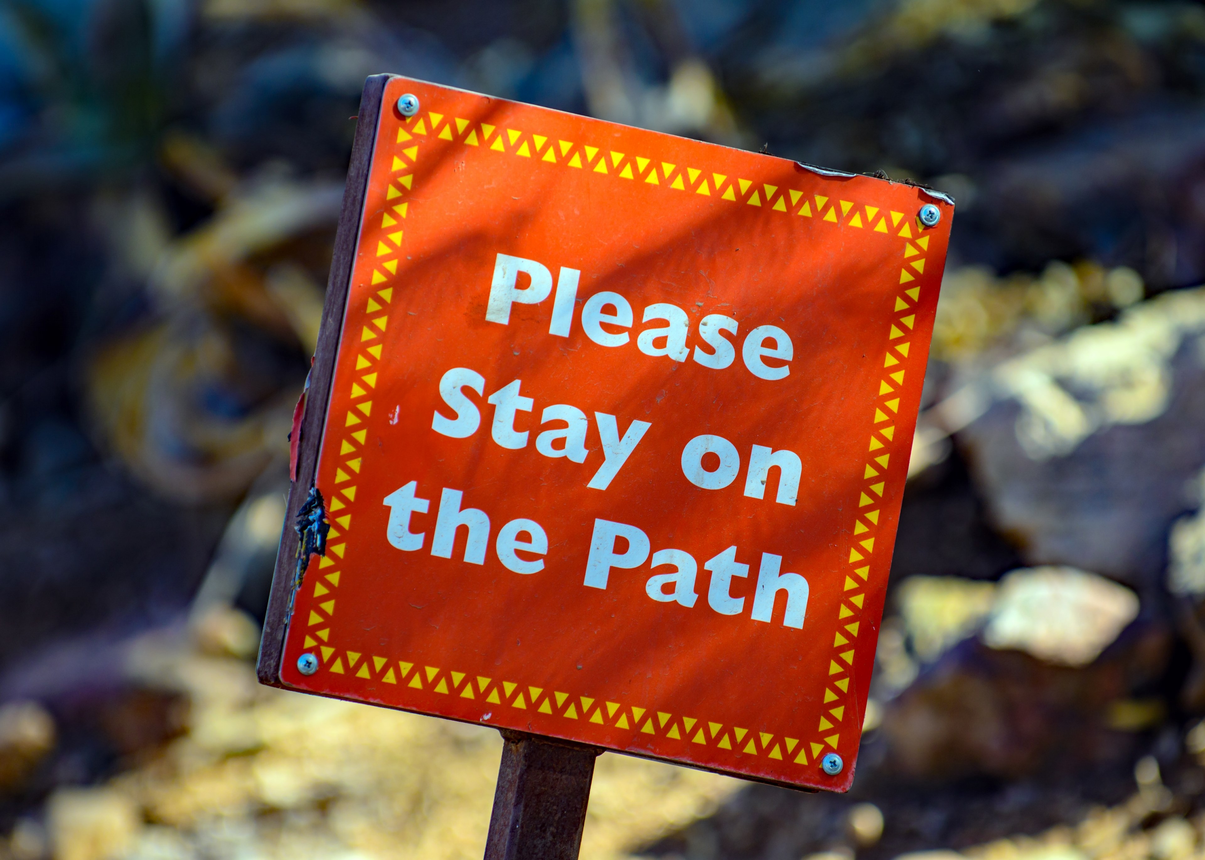 please stay on the path why 4k, HD Wallpaper