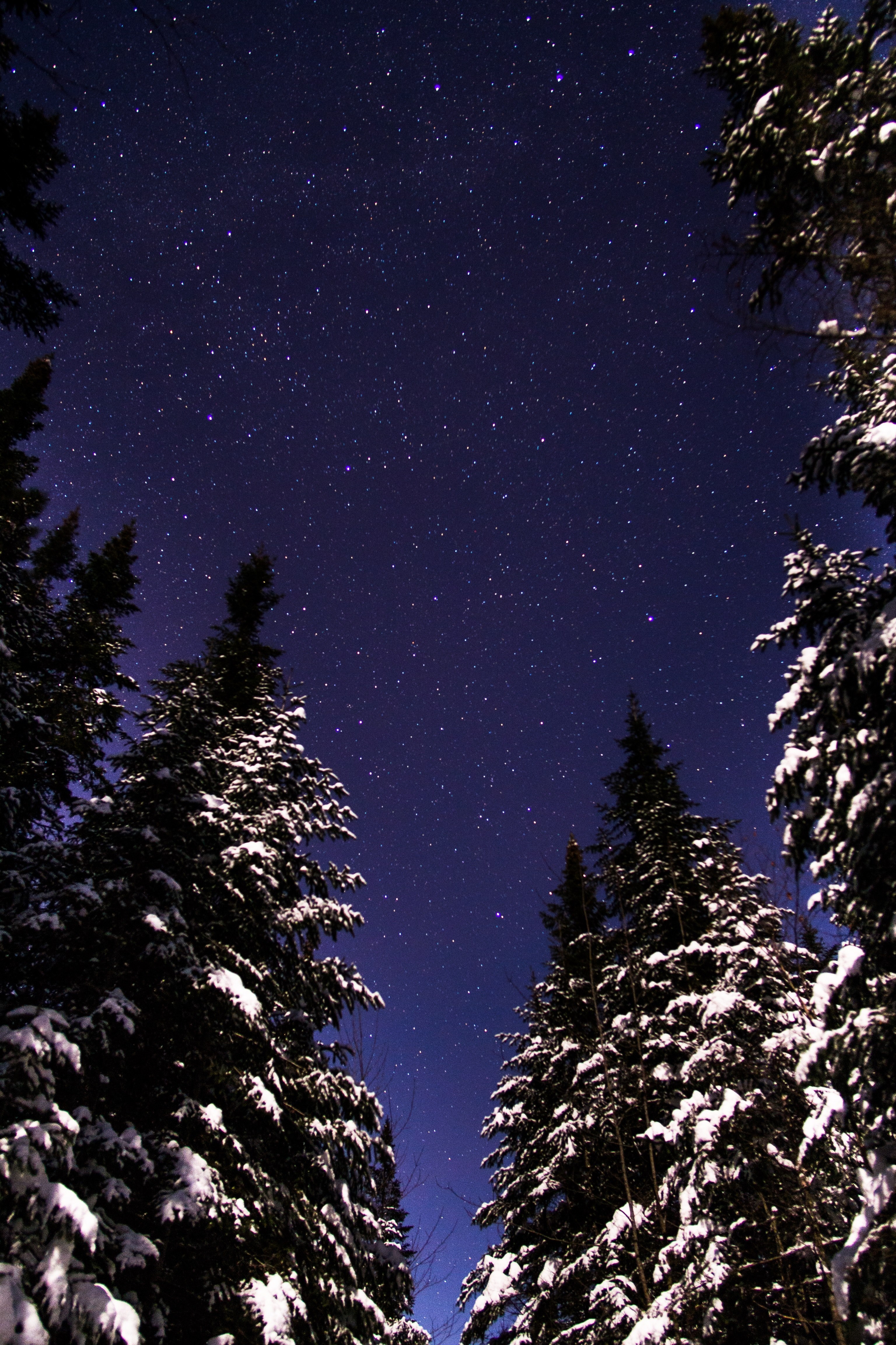 cold hearted stars 4k, Phone HD Wallpaper