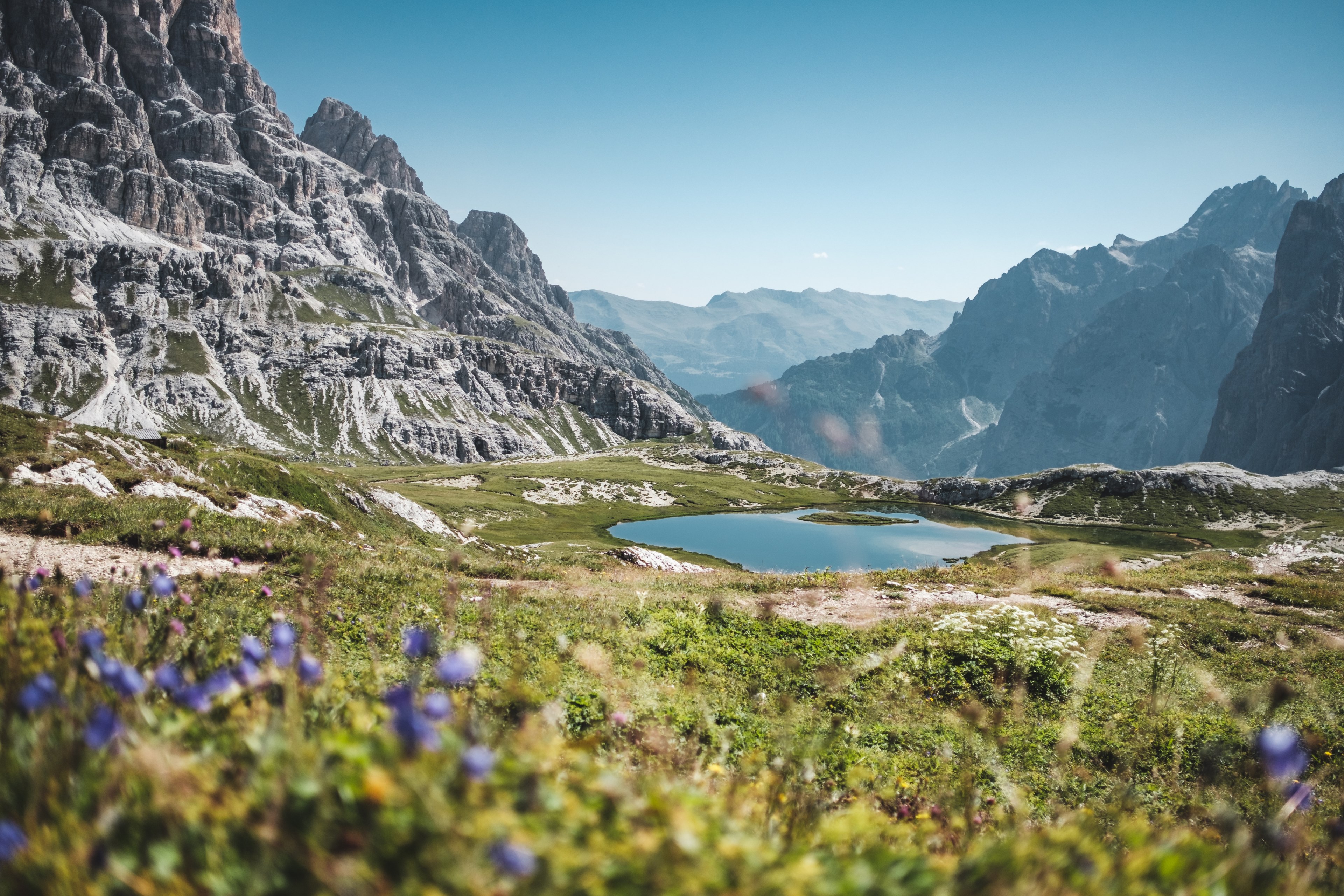 flowers in a field near a small mountain pond area, _flowers near mountain lake 4k, HD Wallpaper