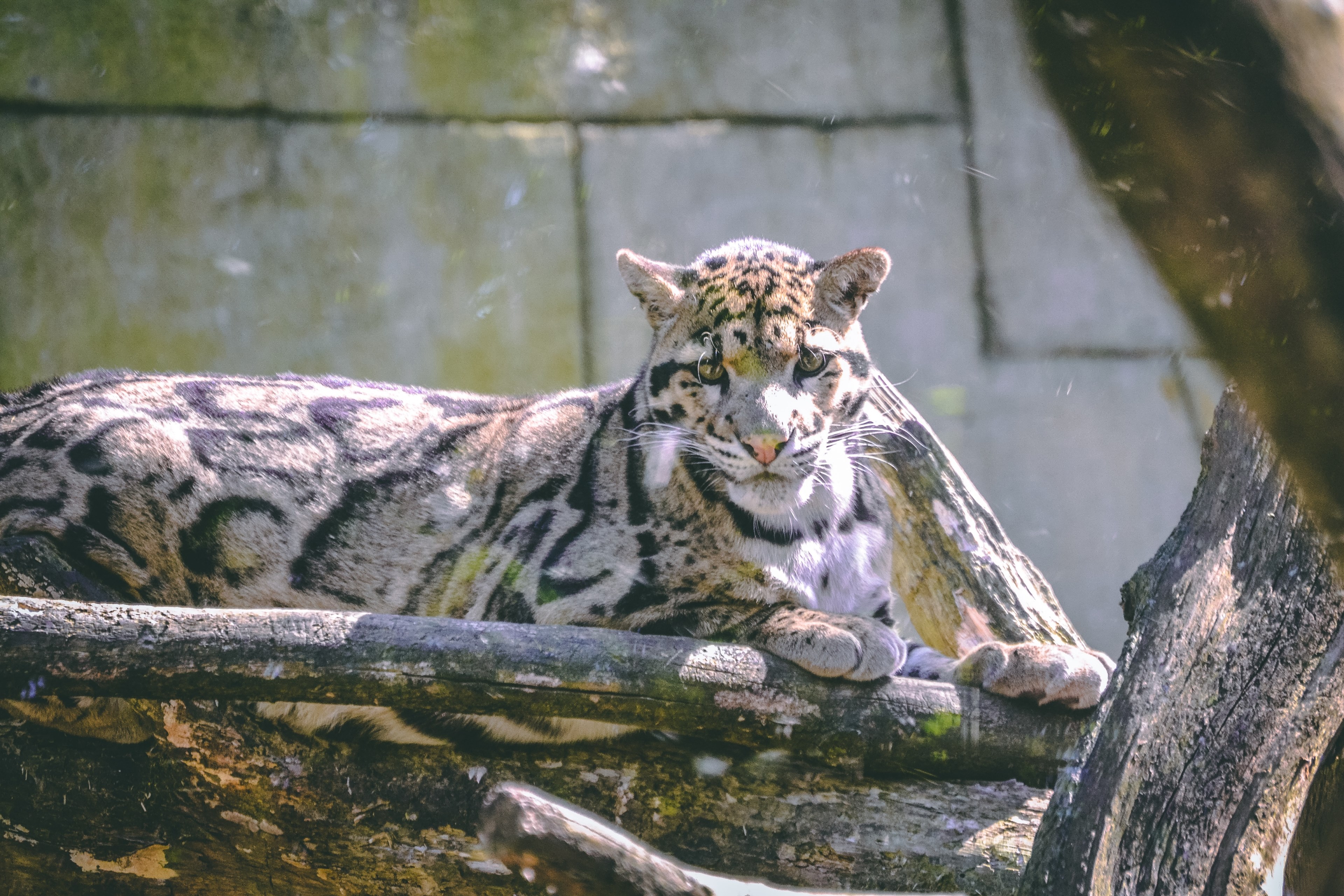watching you 4k, HD Wallpaper