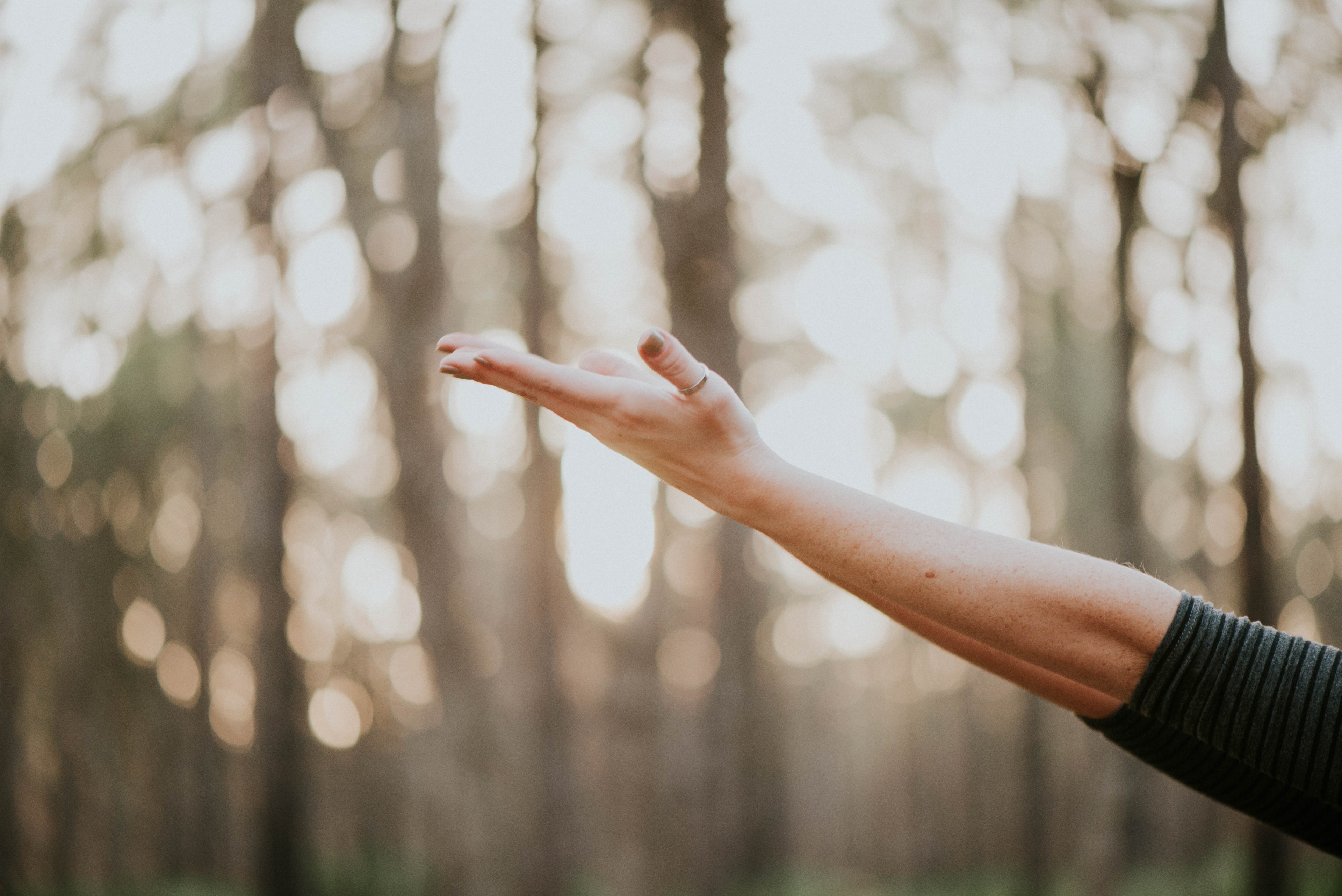 a person stretching out their arm and hand in the forest in julington durbin creek preserve, julington durbin creek 4k, HD Wallpaper